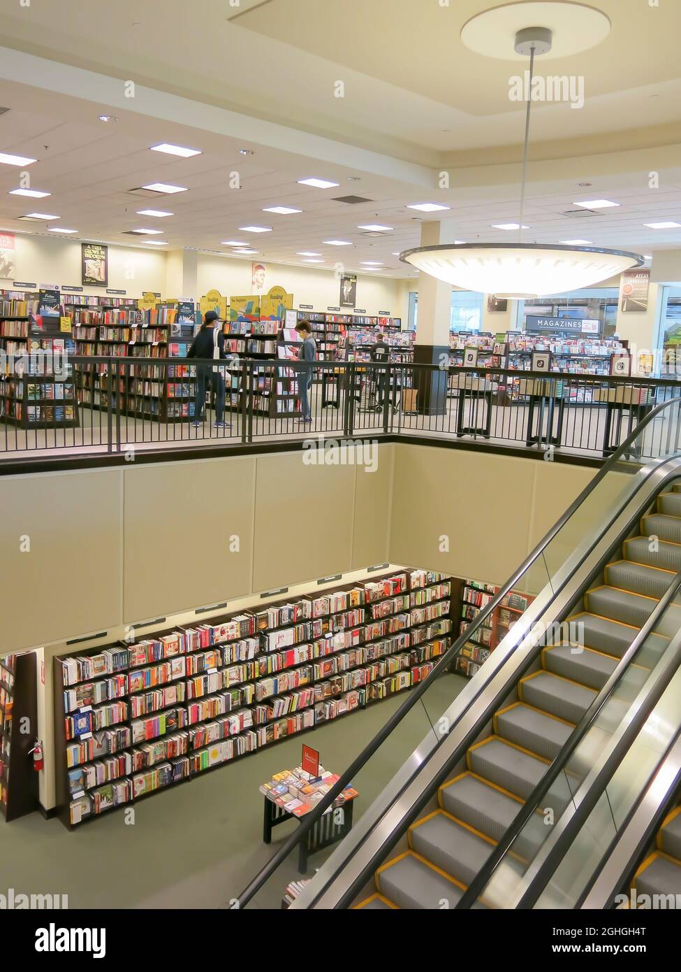 barnes and noble tampa barnes and noble tampa