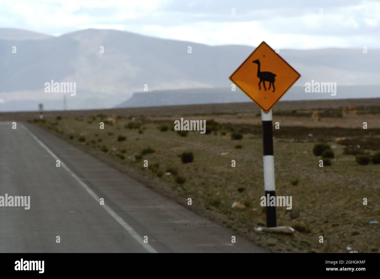 A road sign warning drivers about llamas on the road, Peru Stock Photo ...