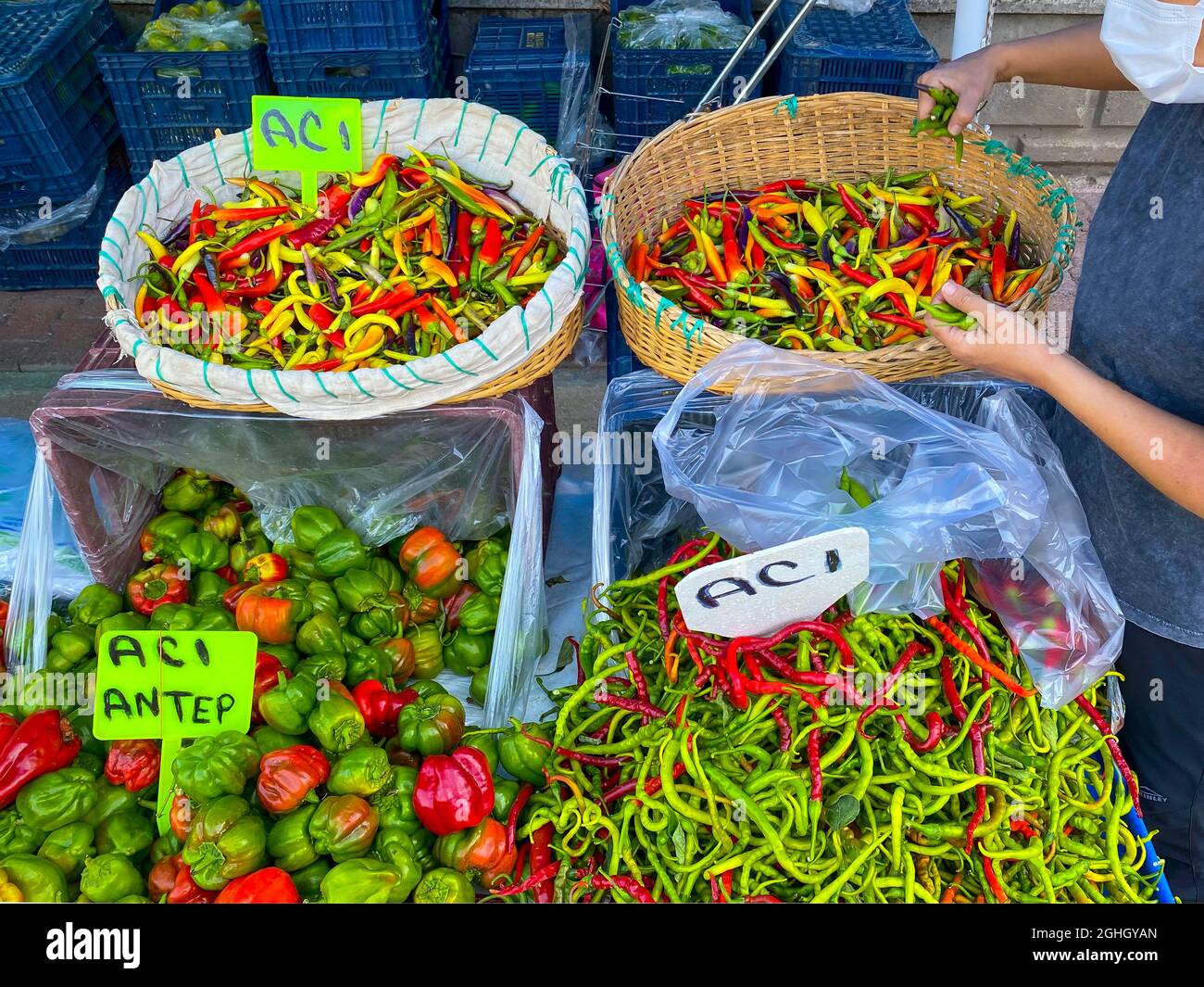 Hot peppers of various colors Stock Photo Alamy