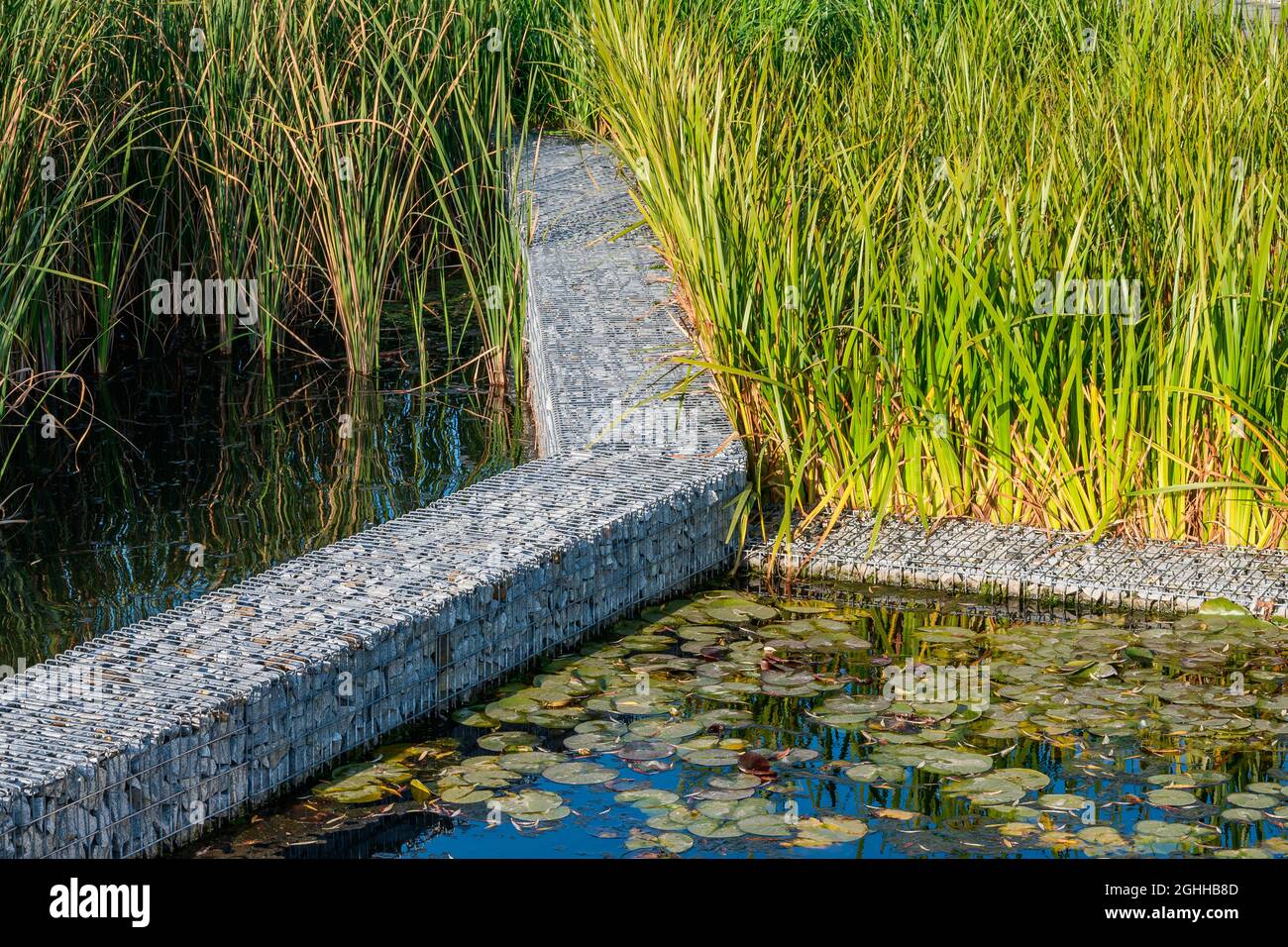 The system of natural filtration and purification of the water of the