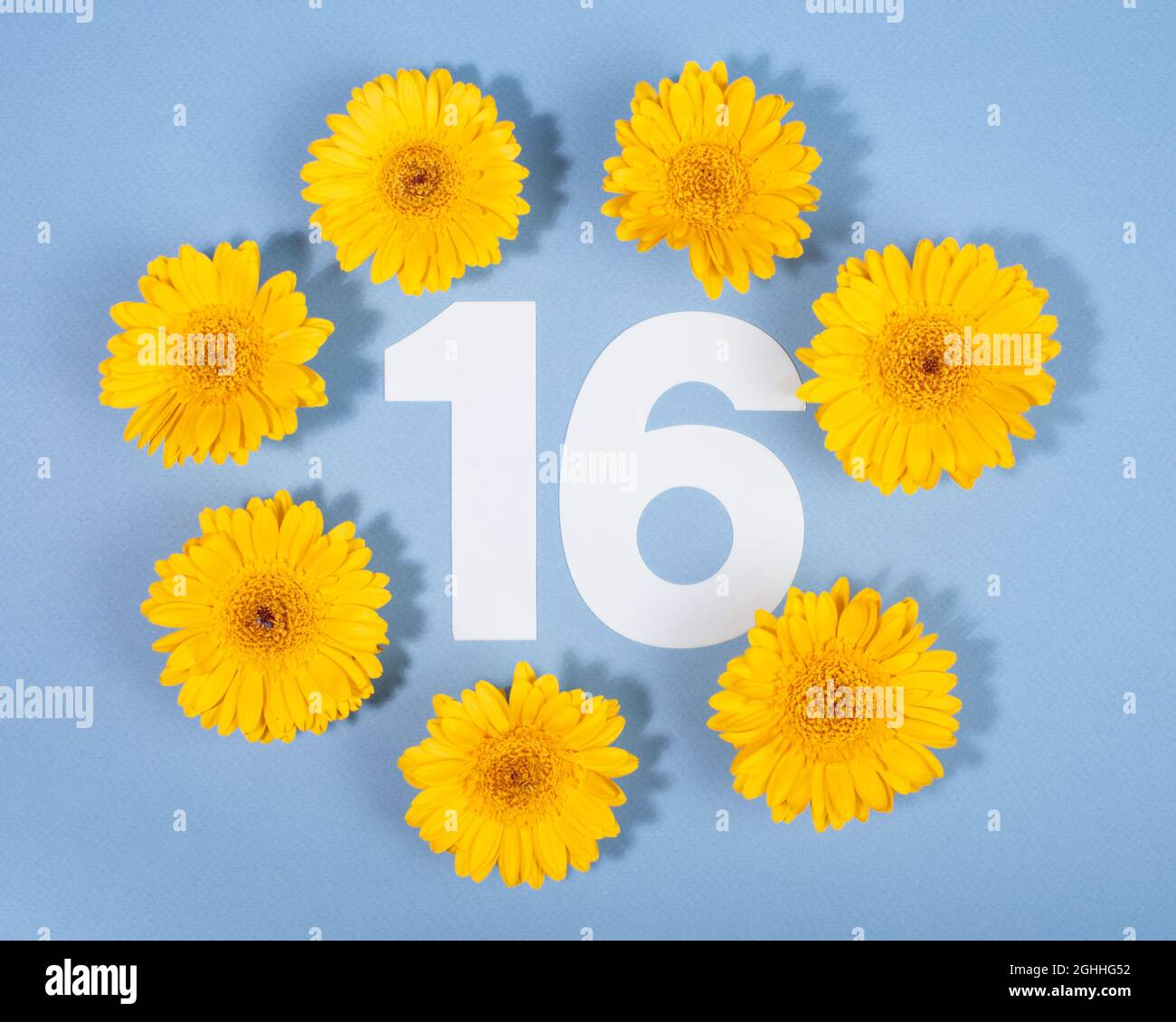 Number 16 Roses Shape Round of sixteen hi-res stock photography and images - Alamy