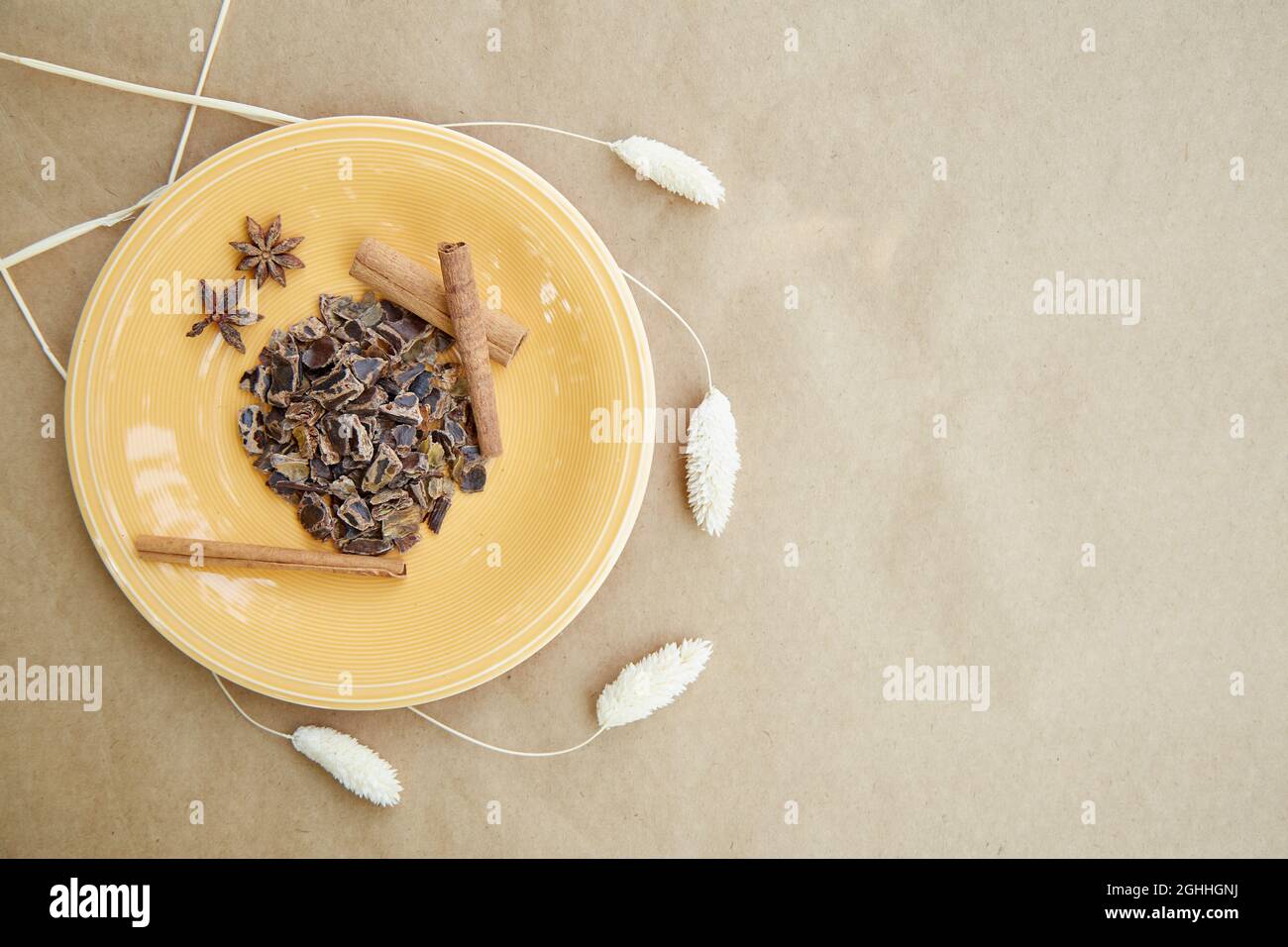 Plant-based alternative - natural carob. Banner with copy space. Organic antioxidants and protein. Decoration with cinnamon sticks and dried cloves. T Stock Photo