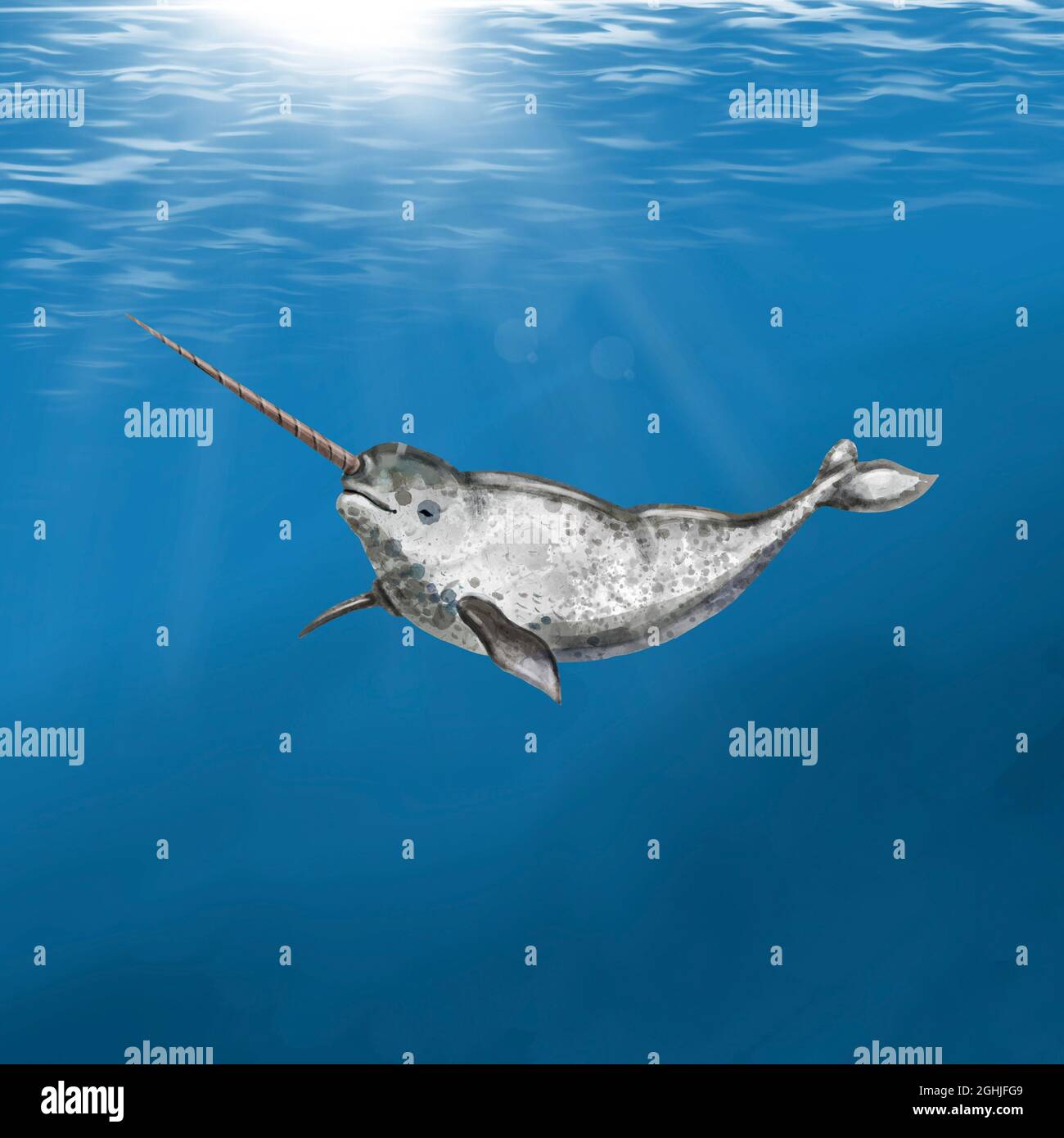 Watercolor Narval on the background of the ocean. Illustration of Narwhal Stock Photo