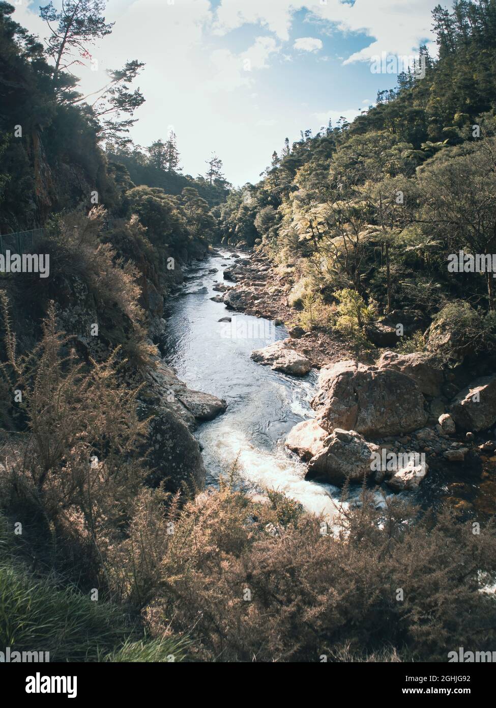 Ohinemuri River in Karangahake Gorge, New Zealand Stock Photo