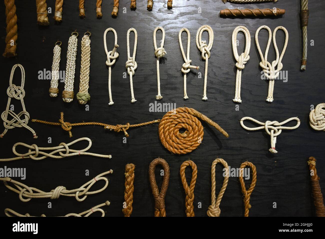 A variety of examples of types of knots in rope are displayed on a knot board at the Maritime Museum of British Columbia in Victoira, BC, Canada Stock Photo
