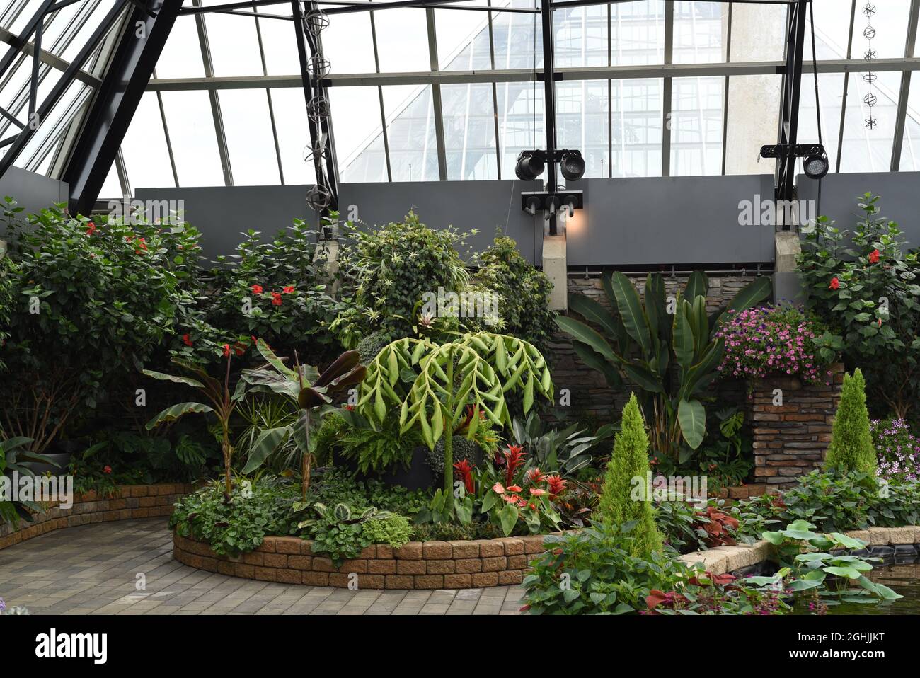 A display of flowers, plants and shrubs in the Muttart Conservatory botanical gardens and horticultural centre in Edmonton, Alberta, Canada. Stock Photo