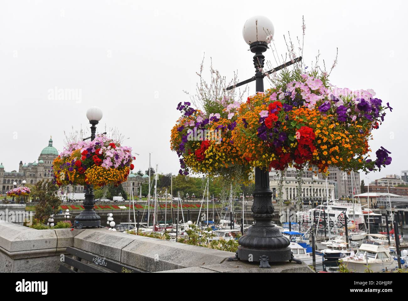 Victoria bc hanging baskets hires stock photography and images Alamy