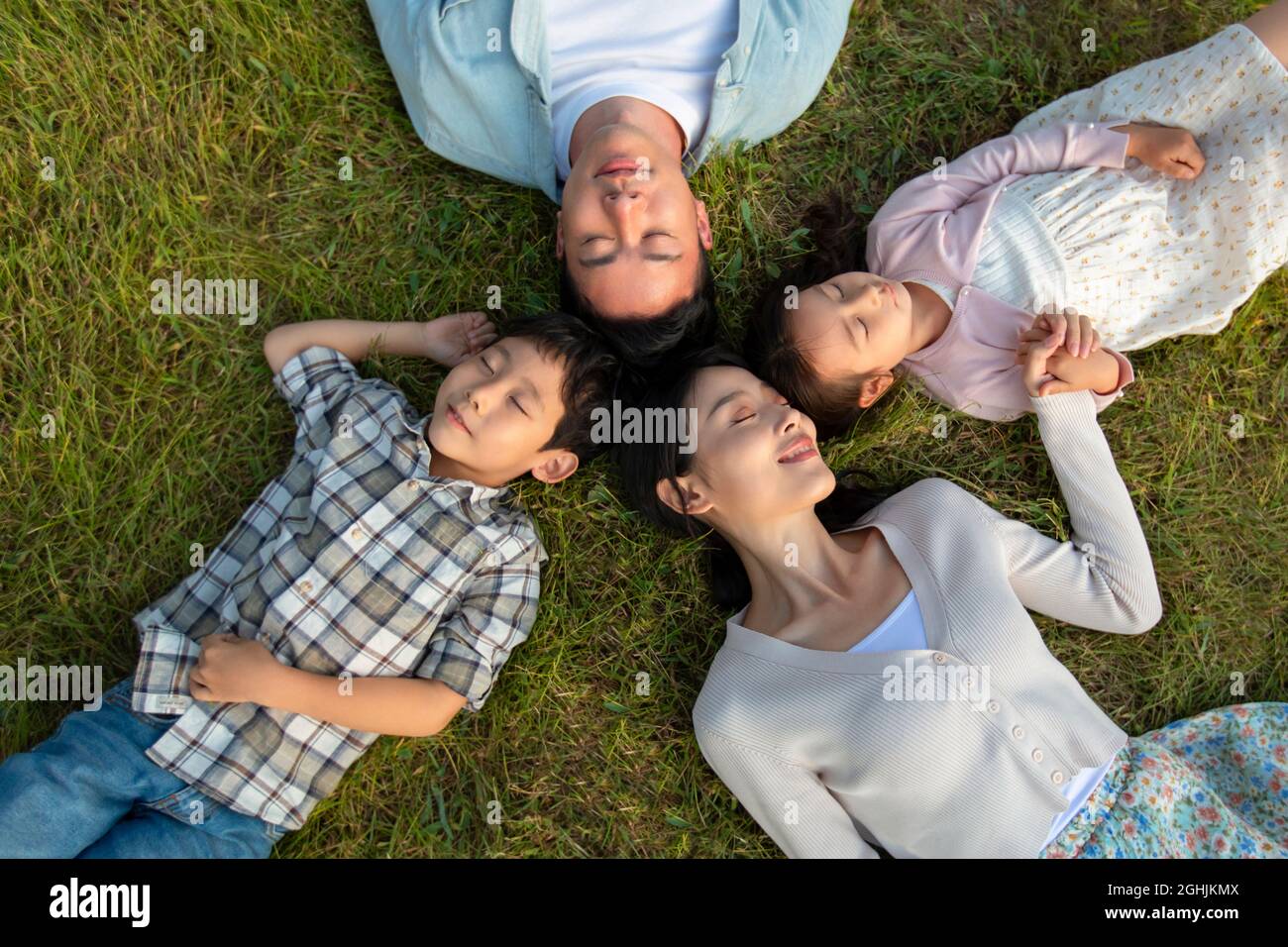 Happy young family lying on the grass Stock Photo - Alamy