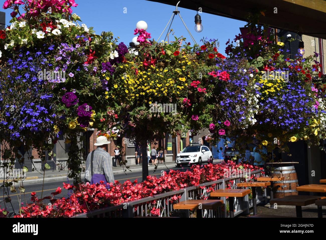 Victoria bc hanging baskets hires stock photography and images Alamy