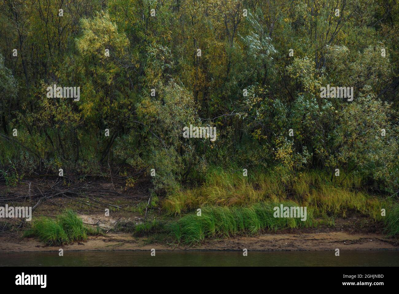 A picturesque river bank in early autumn with grass on the bank ...