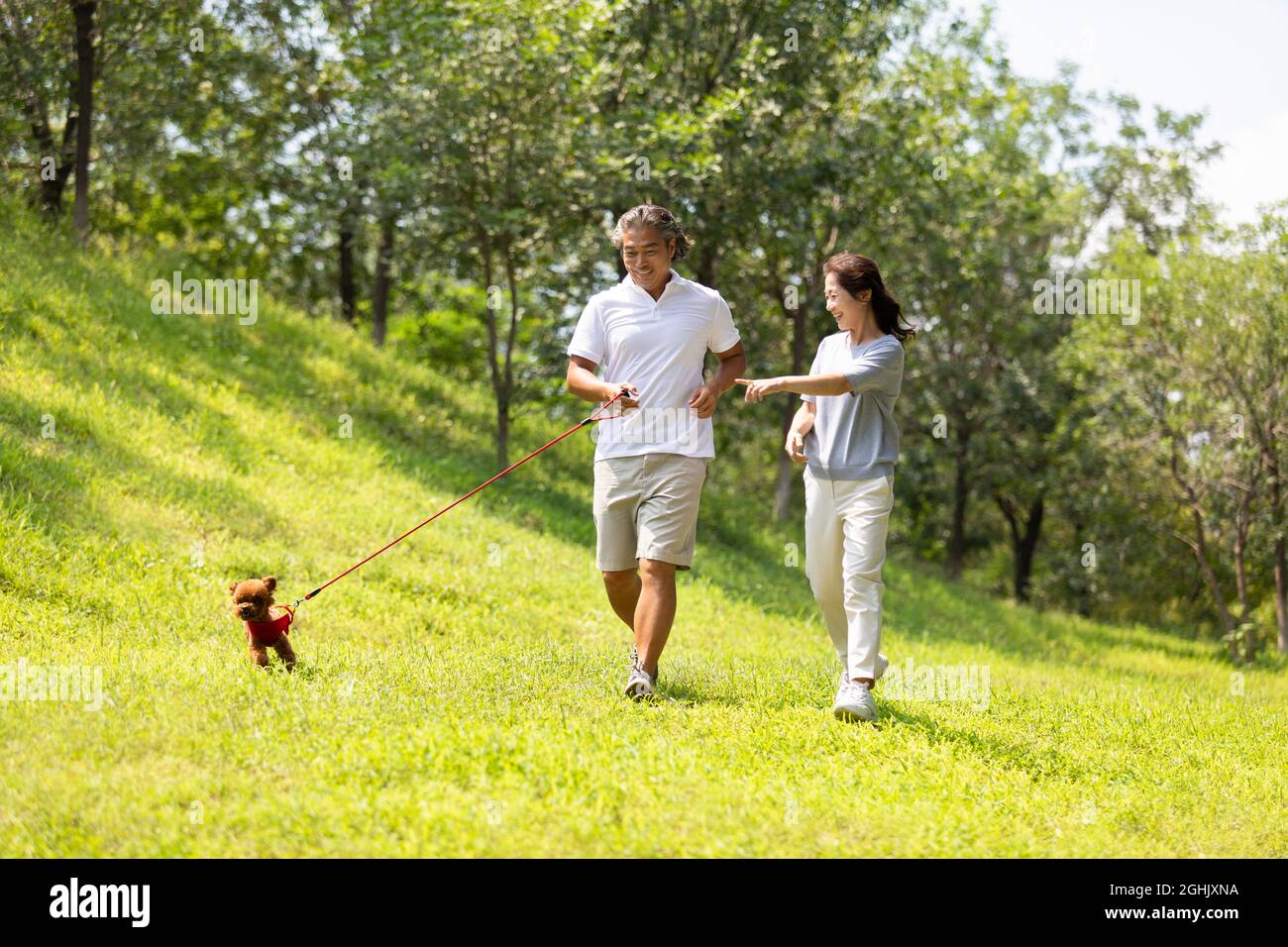 Happy mature couple walking with a cute dog Stock Photo - Alamy