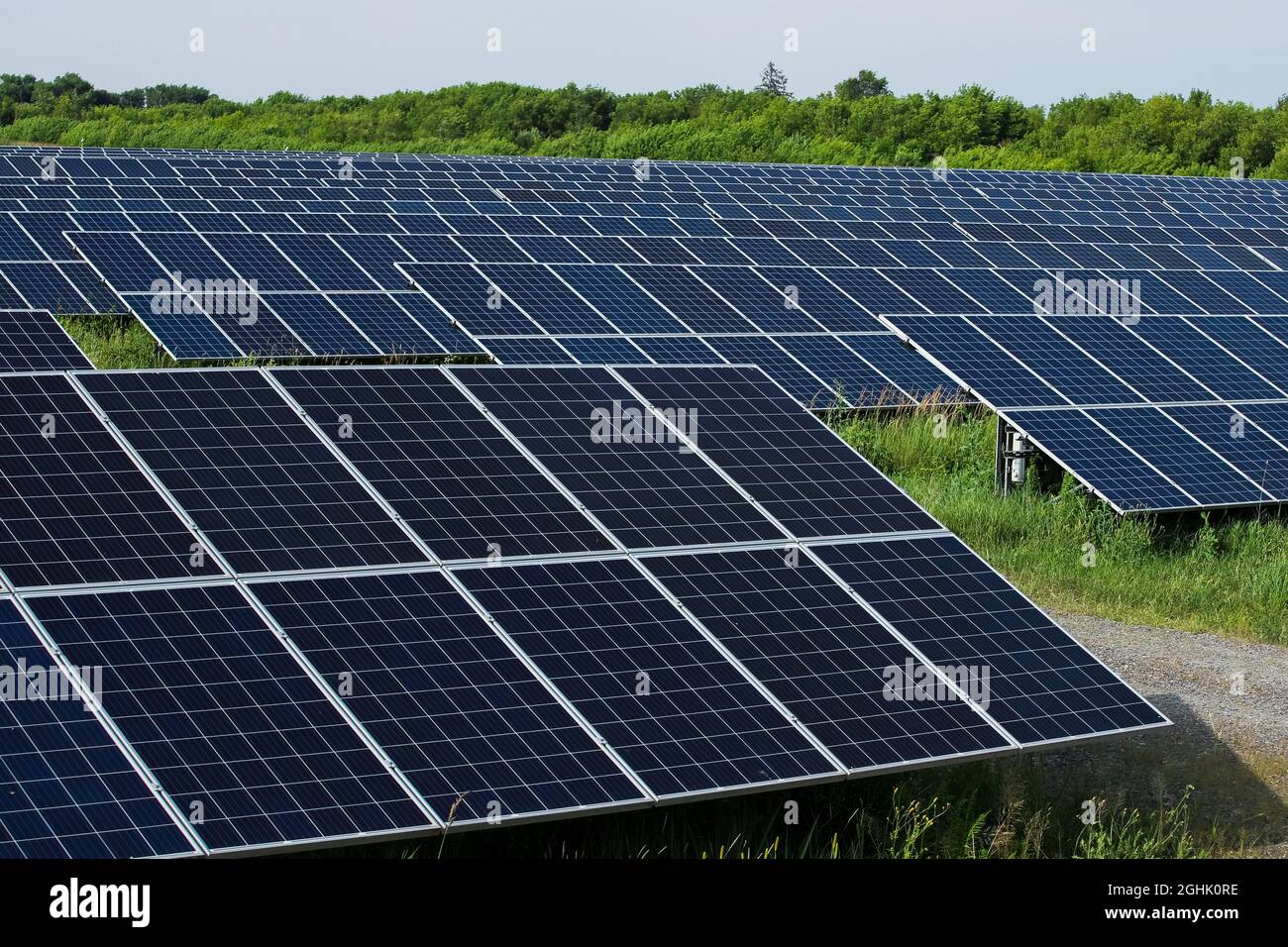 Rows of solar panels in a field. Natural energy Stock Photo - Alamy