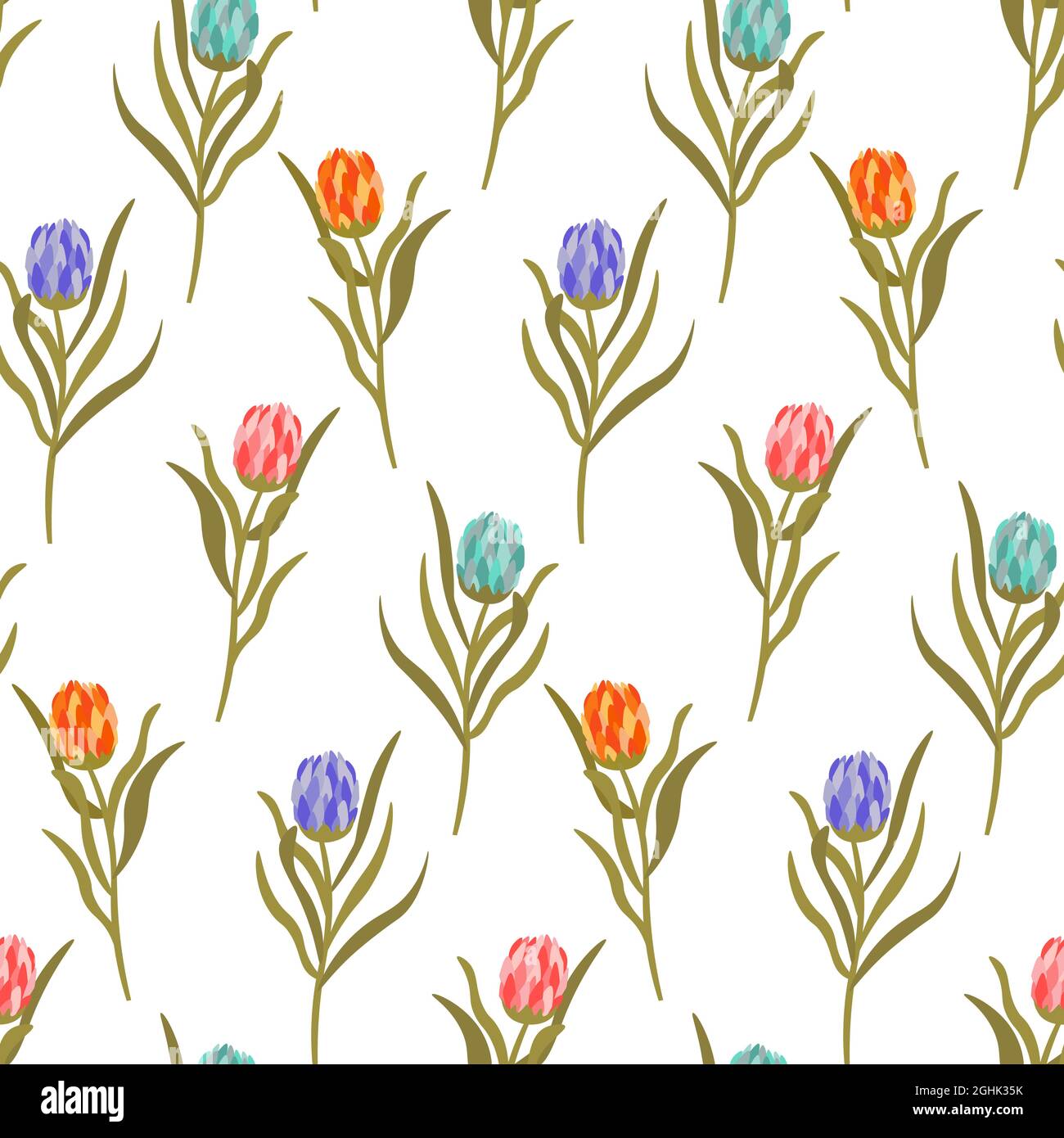 Pattern with multi-colored protea flowers. Vector illustration isolated on white background. Stock Vector