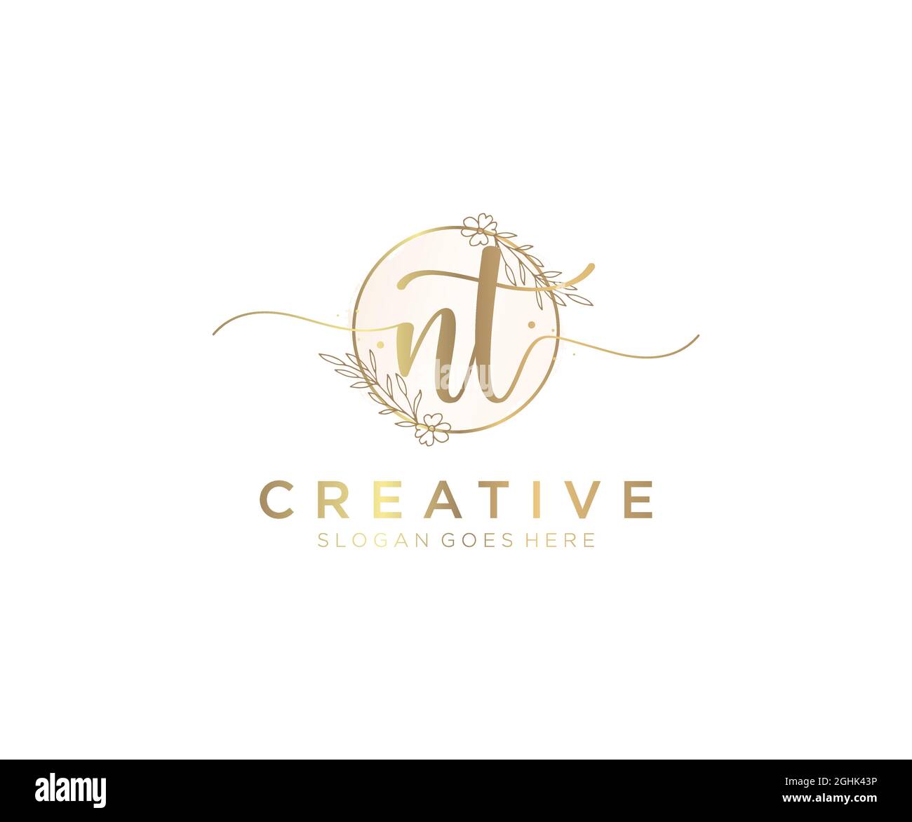 NT Feminine logo beauty monogram and elegant logo design, handwriting ...
