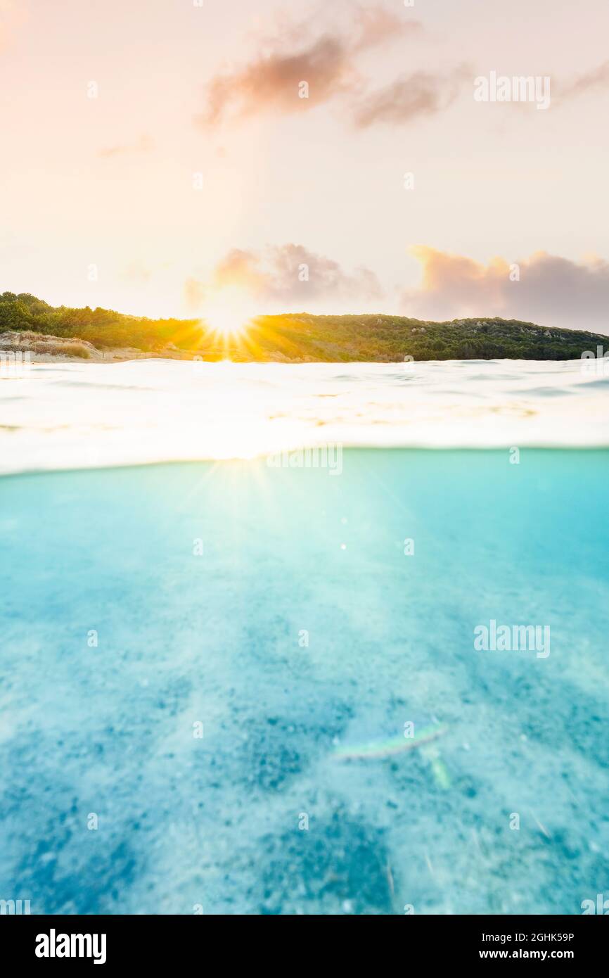 (Selective focus) Split shot, over under picture, half-in half-out. Crystal clear, turquoise water and a green coast during a stunning sunrise. Stock Photo