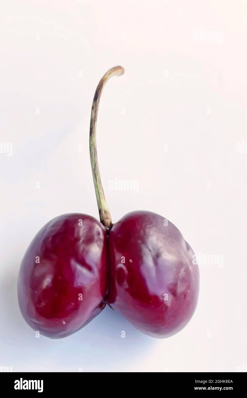 fruit of summer season, cherries Stock Photo Alamy