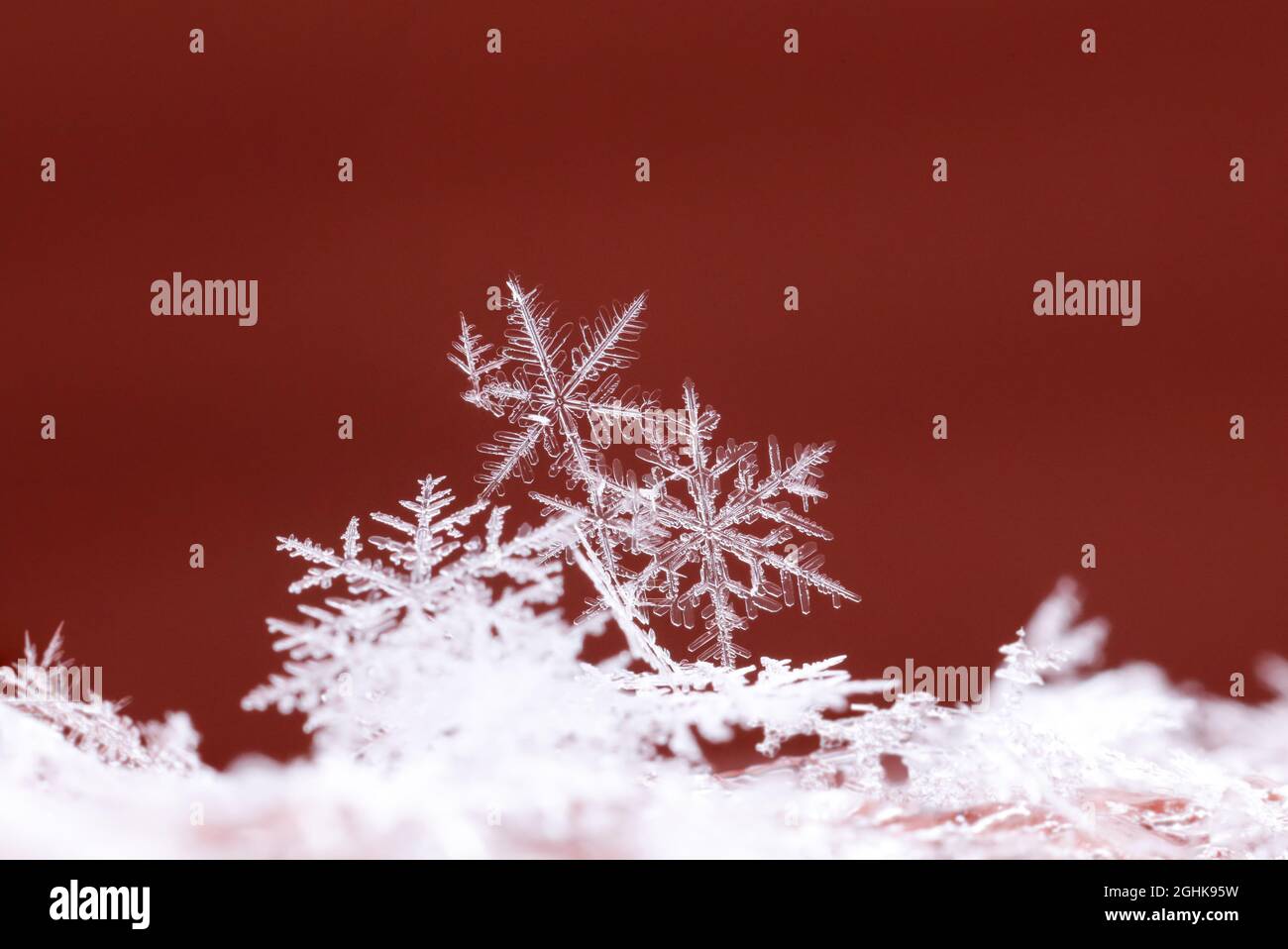 Snowflakes Stock Photo