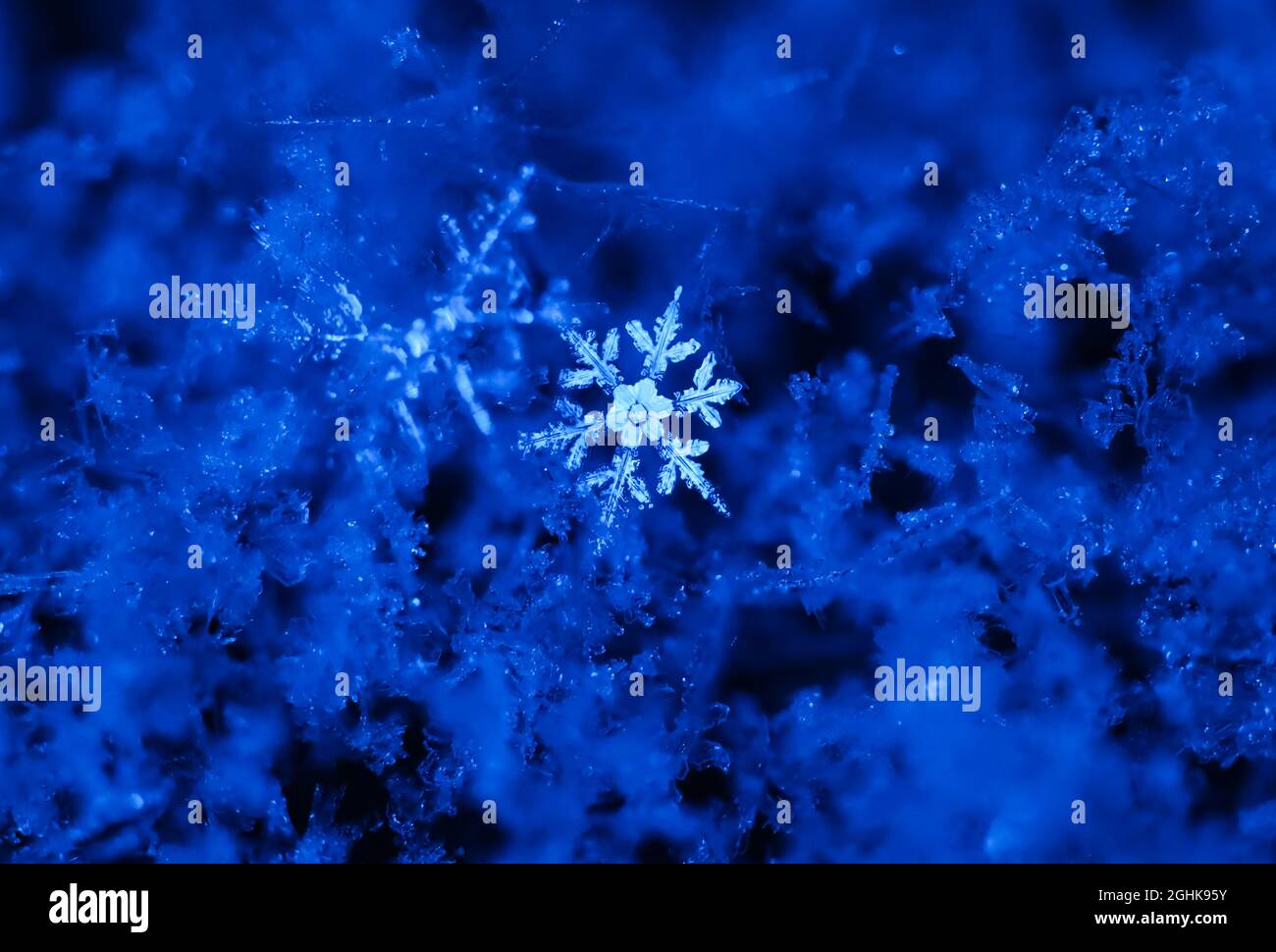 Blue Snowflake Flurry Real Life Stock Photo