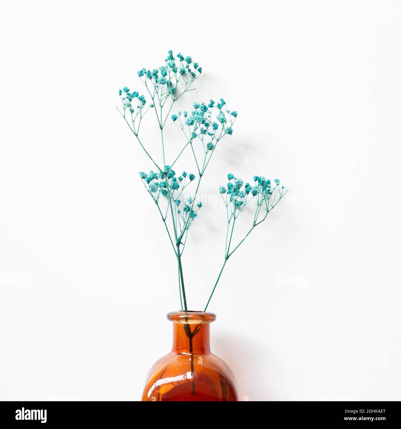 dried gypsophila or dried Baby's Breath in the vase Stock Photo - Alamy