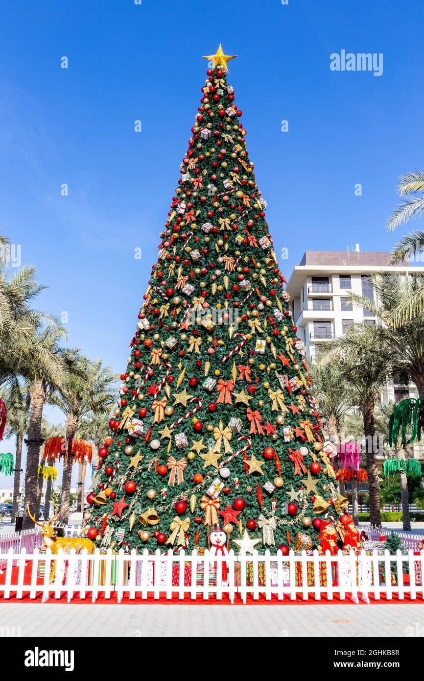 Palm tree uae hires stock photography and images Alamy