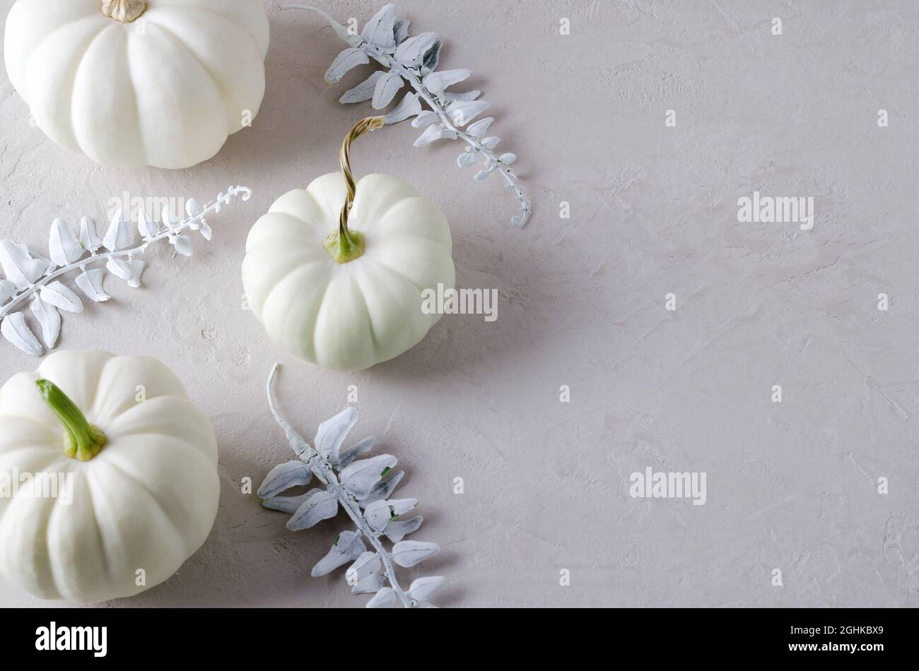 Minimalism. Autumn background with white pumpkins and decorative leaves, copying text, selective focus Stock Photo