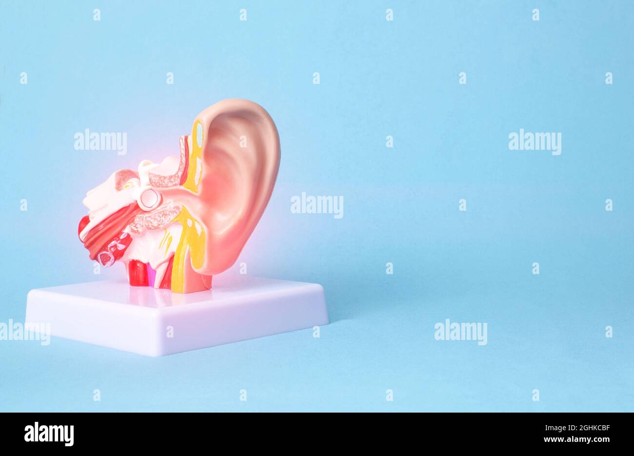 Human ear mockup on blue background. Concept of ear membrane diseases