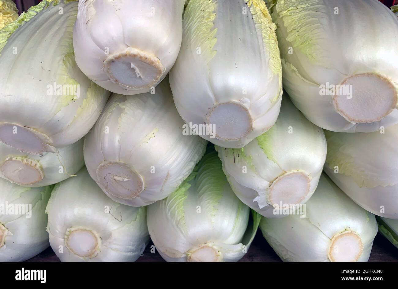 Fresh Nappa cabbage or Chinese cabbage (Brassica pekinensis) Stock Photo