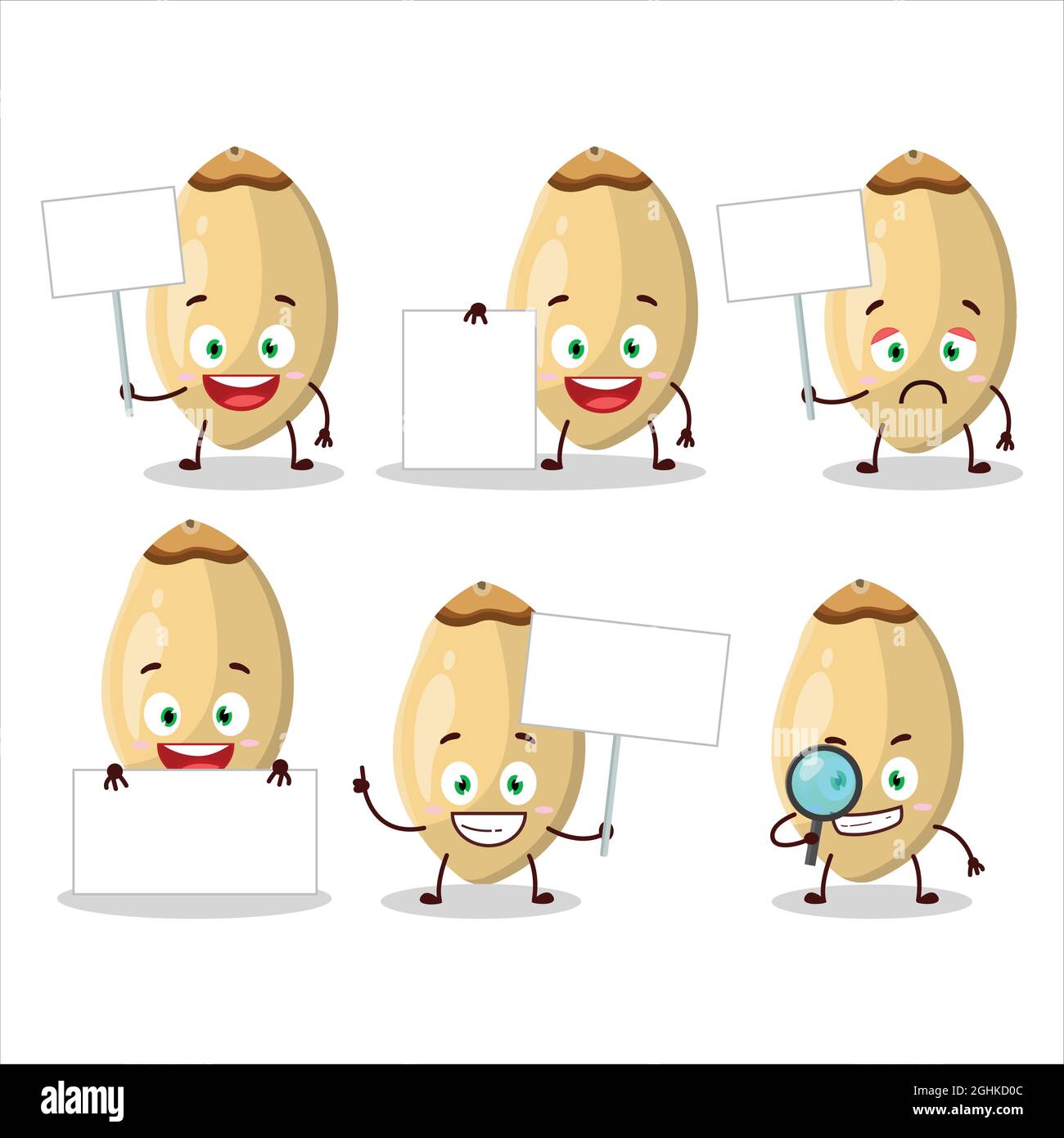 Pine Nuts cartoon character bring information board. Vector