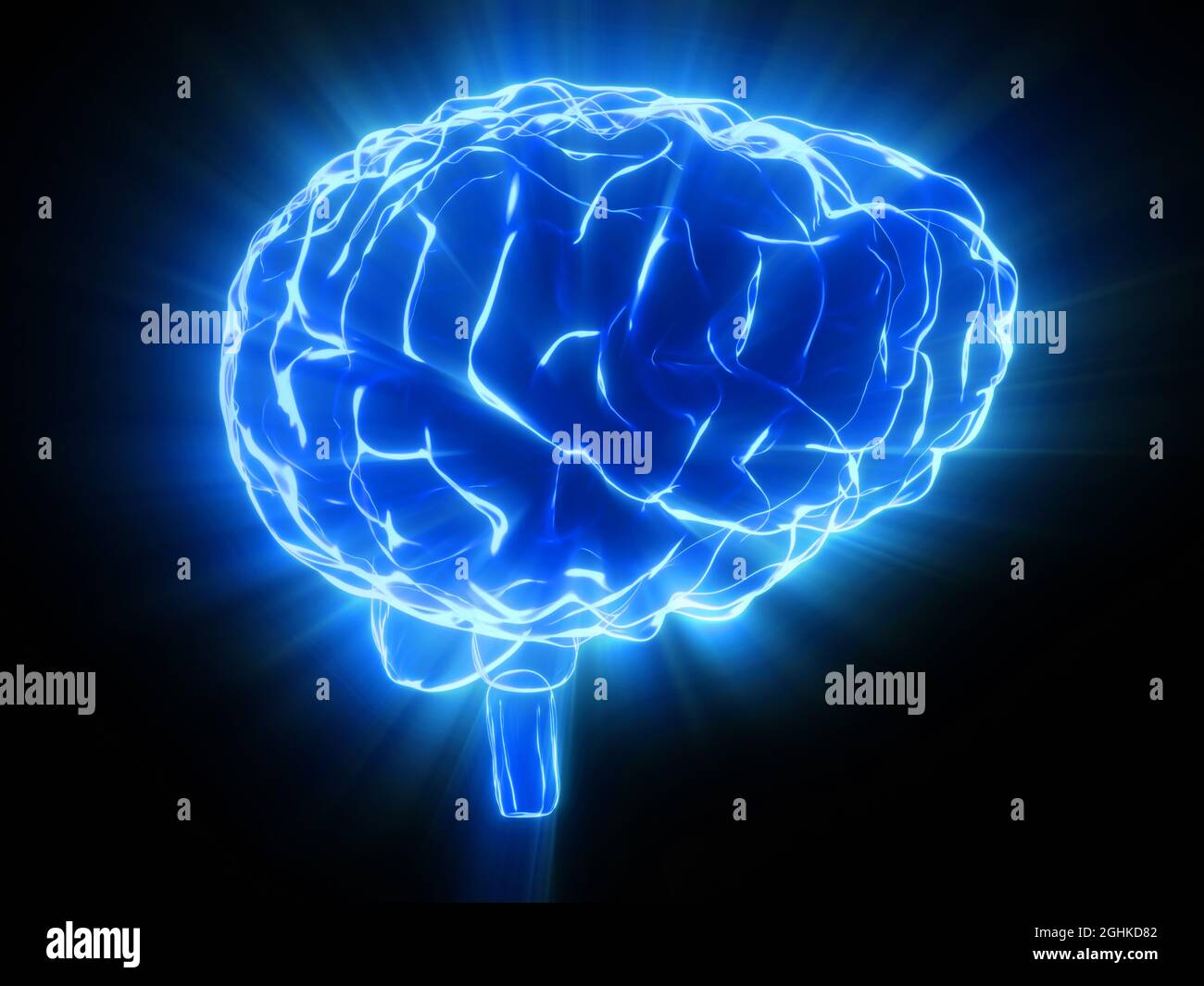 Human brain isolated on black background - 3D illustration Stock Photo ...