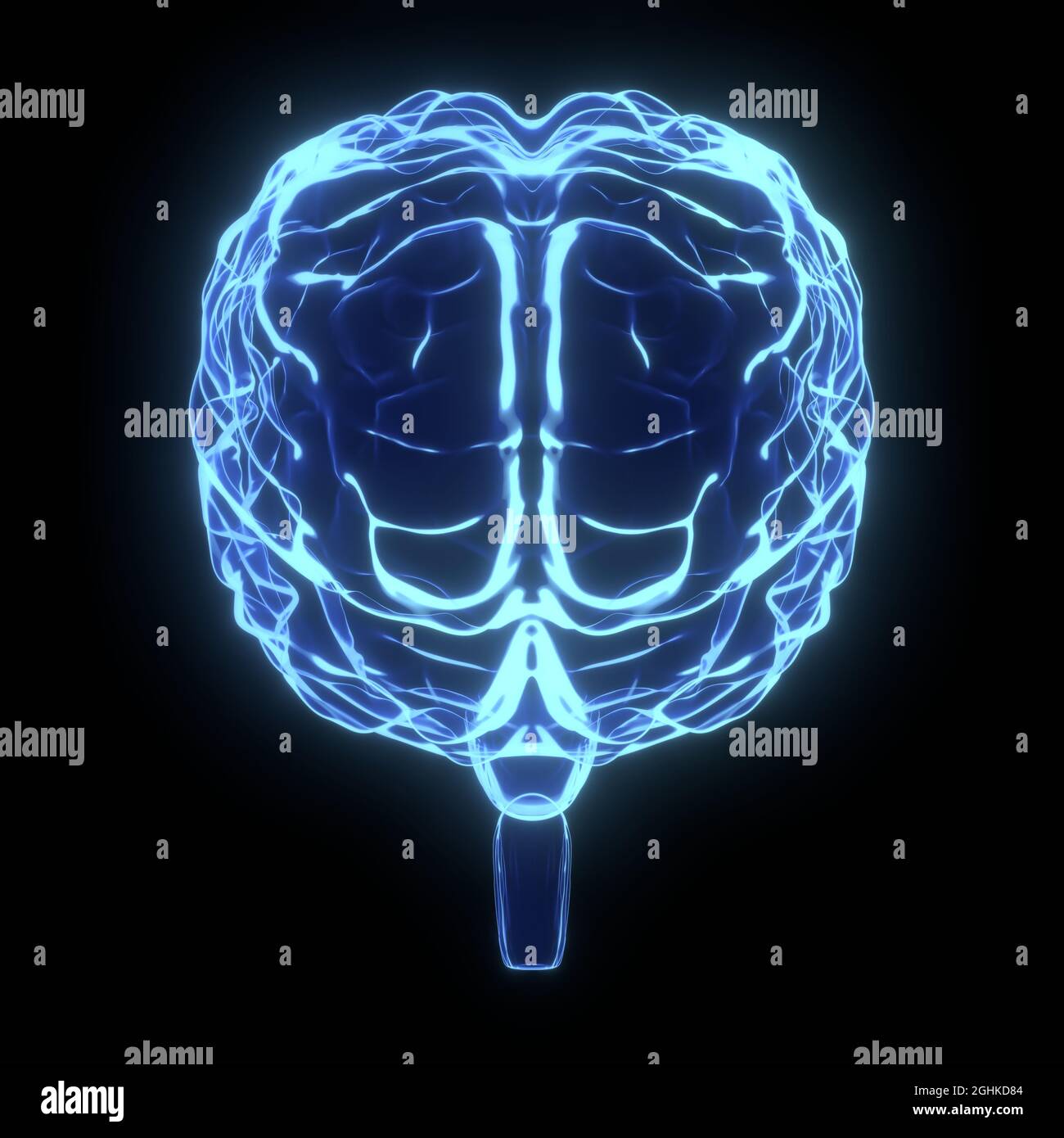 Human brain as x-ray illustration - 3D illustration Stock Photo - Alamy