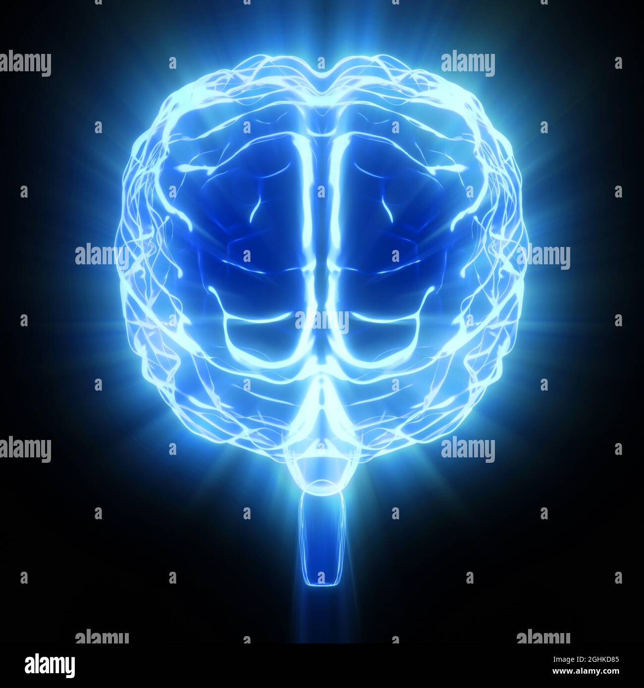 Human brain isolated on black background - 3D illustration Stock Photo ...