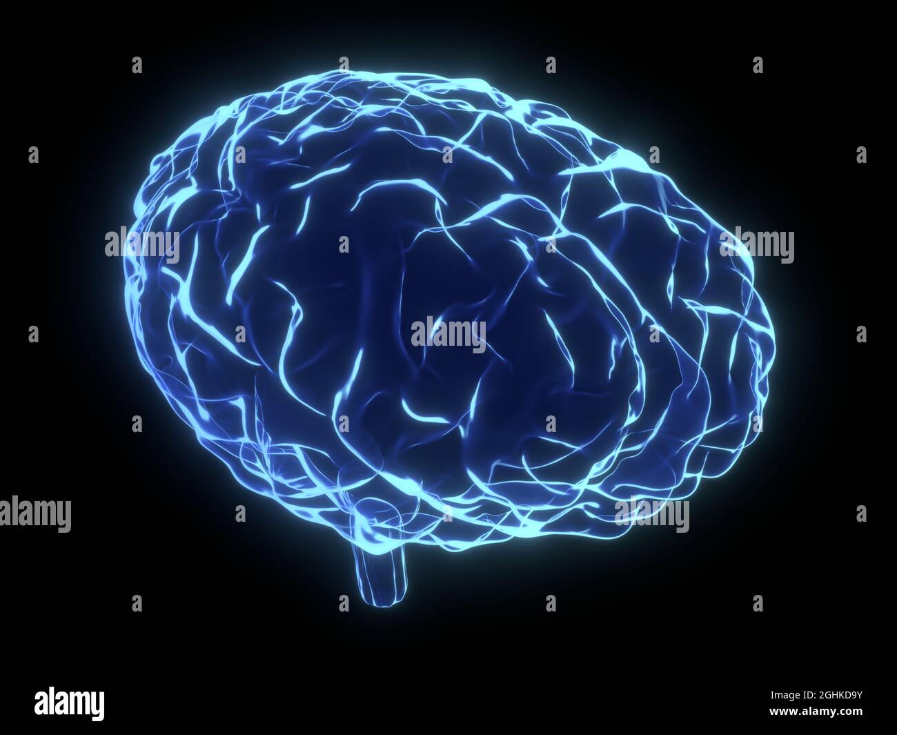 Human brain as x-ray illustration - 3D illustration Stock Photo - Alamy