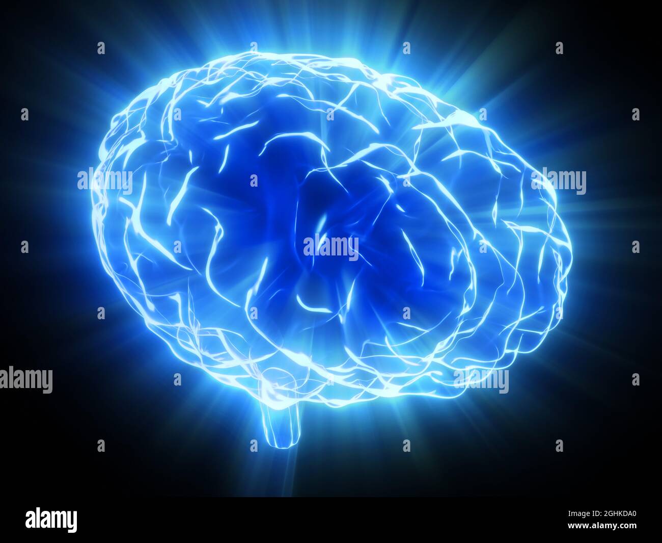 Human brain isolated on black background - 3D illustration Stock Photo ...