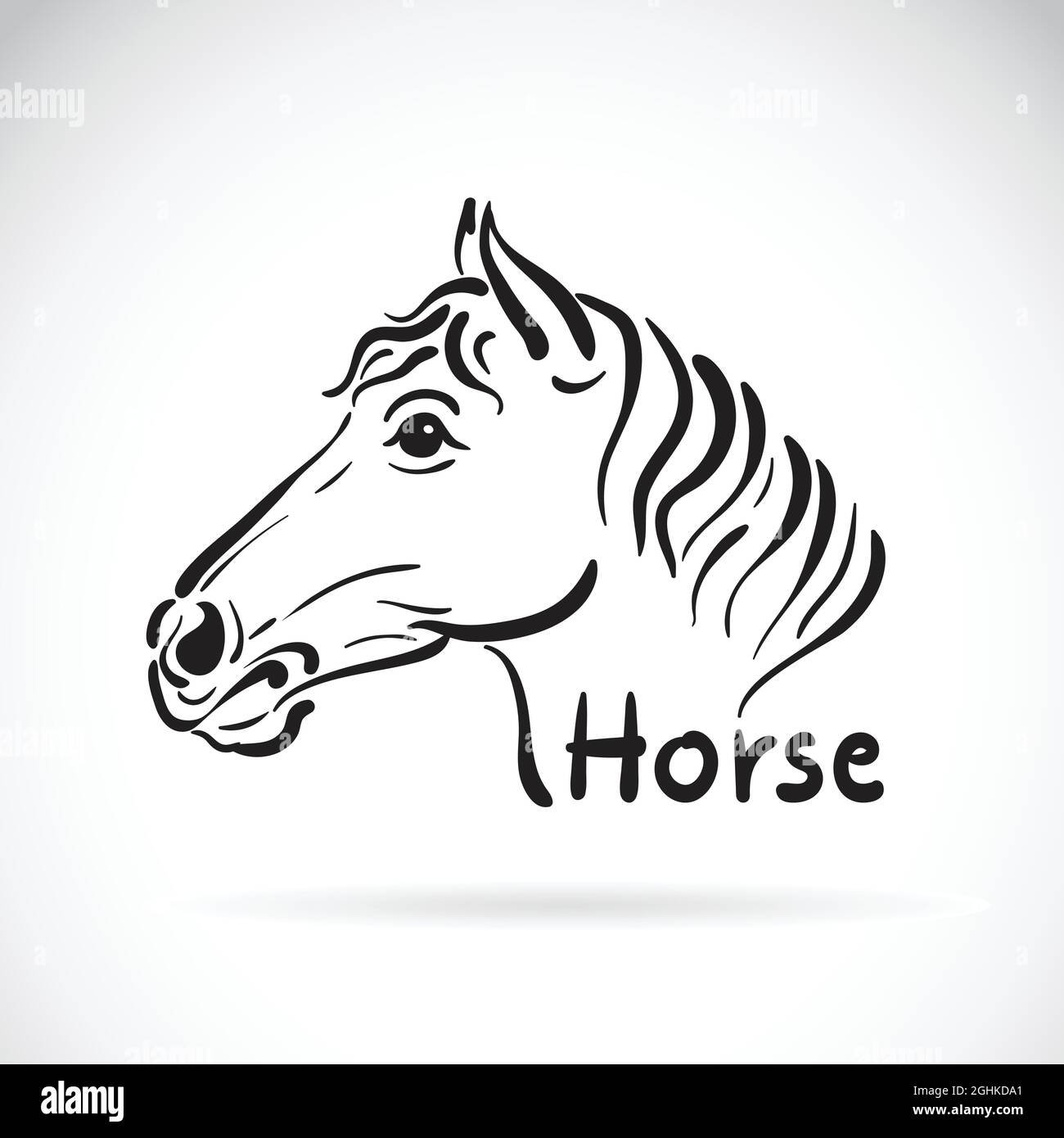 Vector of hand sketch a horse head on a white background. Animal design