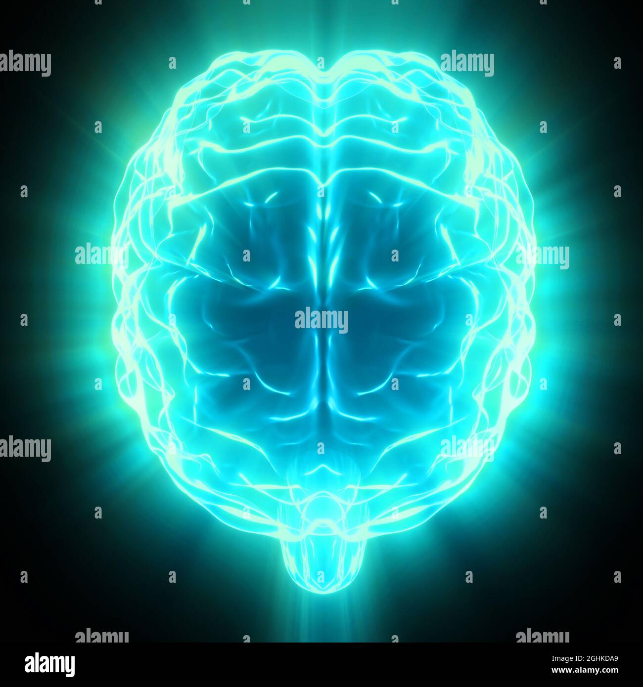 Human brain isolated on black background - 3D illustration Stock Photo ...