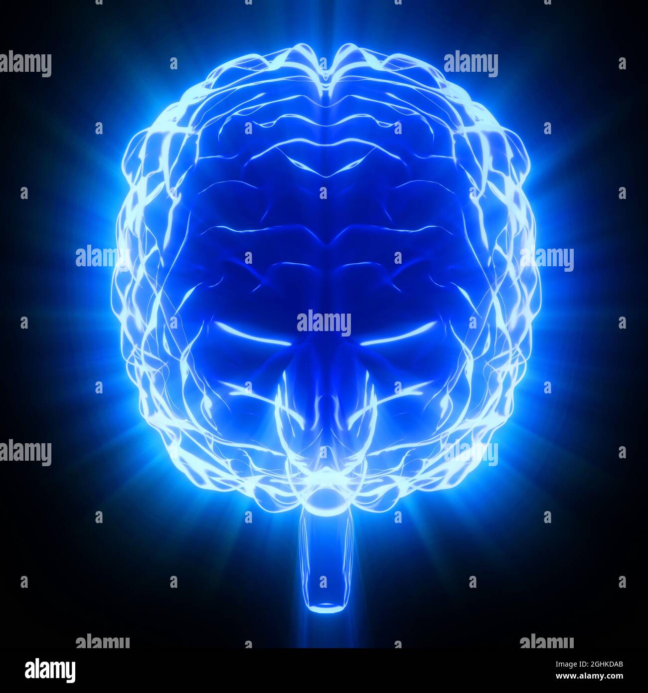 Human brain isolated on black background - 3D illustration Stock Photo ...