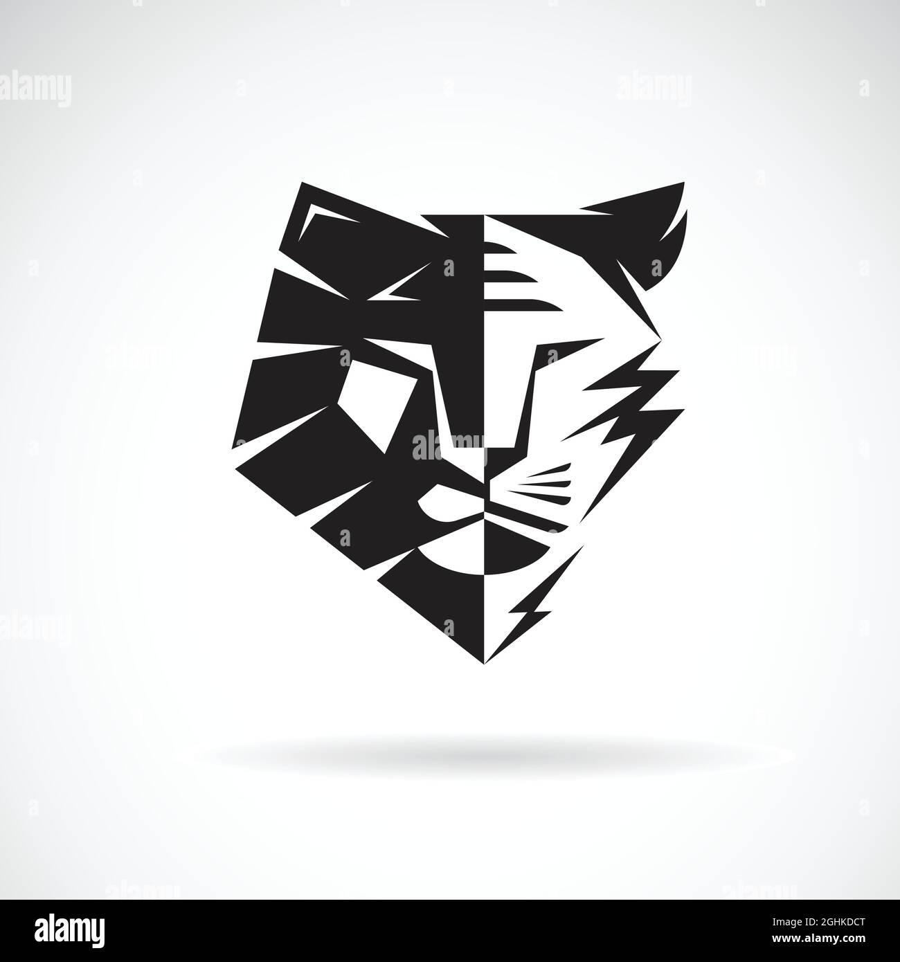Half lion half tiger hi-res stock photography and images - Alamy