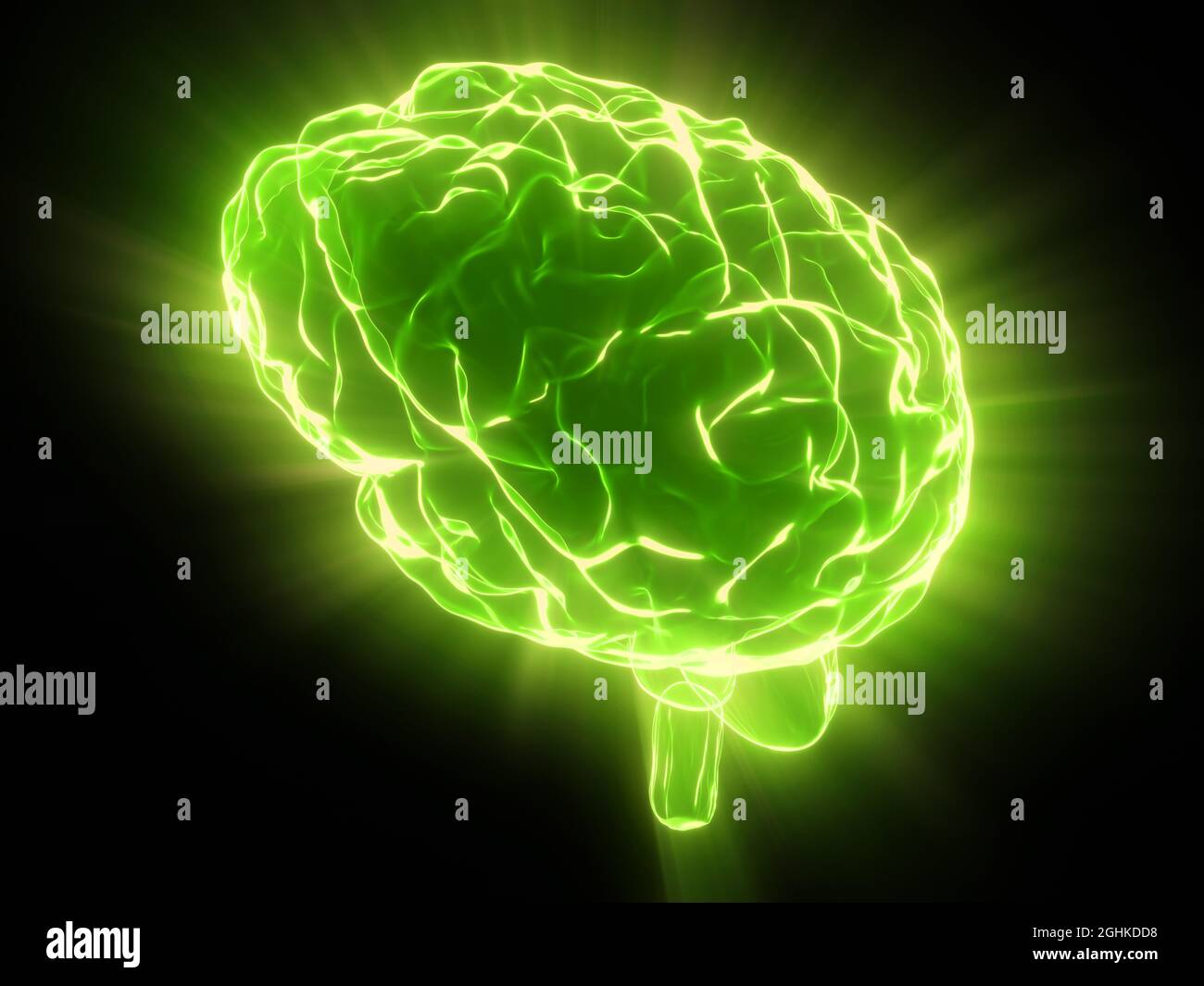 Human brain isolated on black background - 3D illustration Stock Photo ...