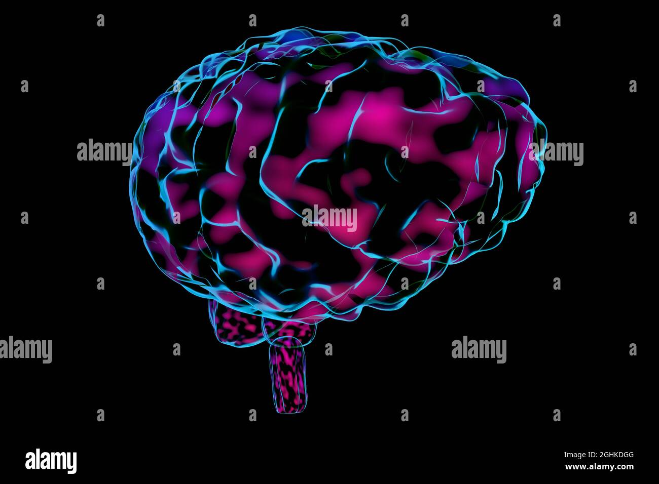 Human brain isolated on black background - 3D illustration Stock Photo ...