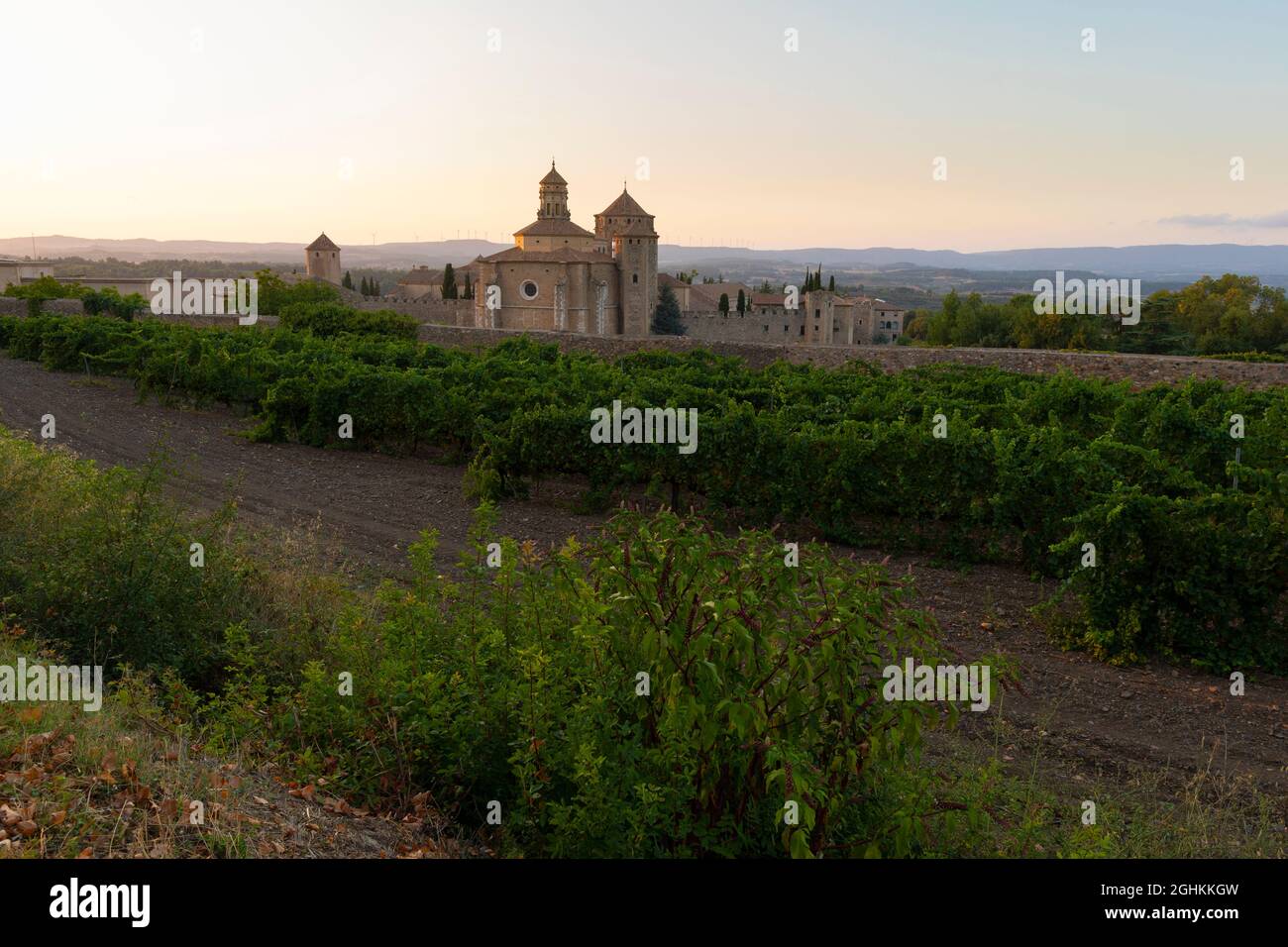 Vineyards and the Cistercian Monastery of Santa Maria de Poblet (Monestir de Poblet) at Sunset. Vimbodí i Poblet, Conca de Barberà, Tarragona. Stock Photo