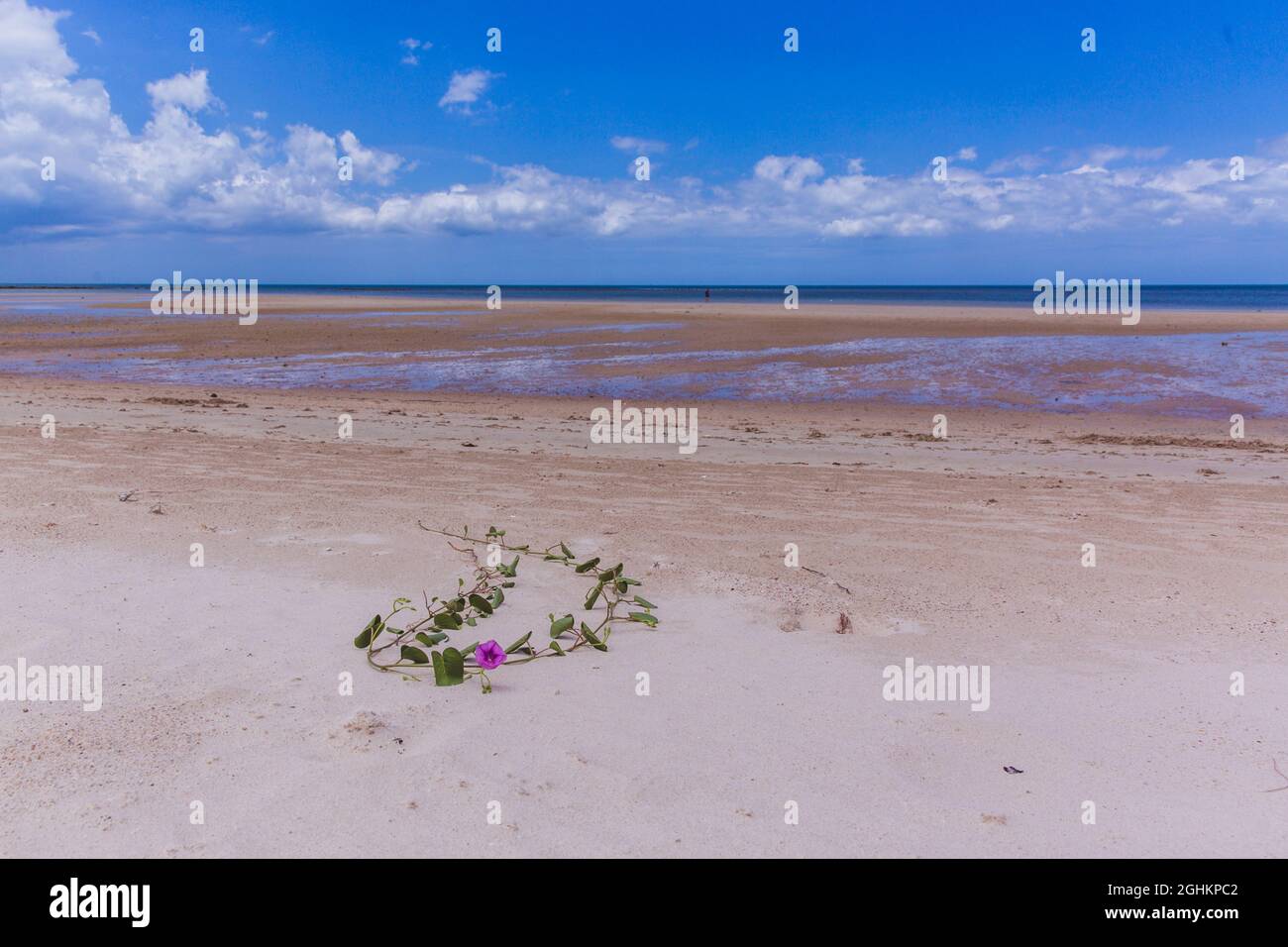 Tropical sandy beach and clear blue sea with beautiful sky with clouds ...