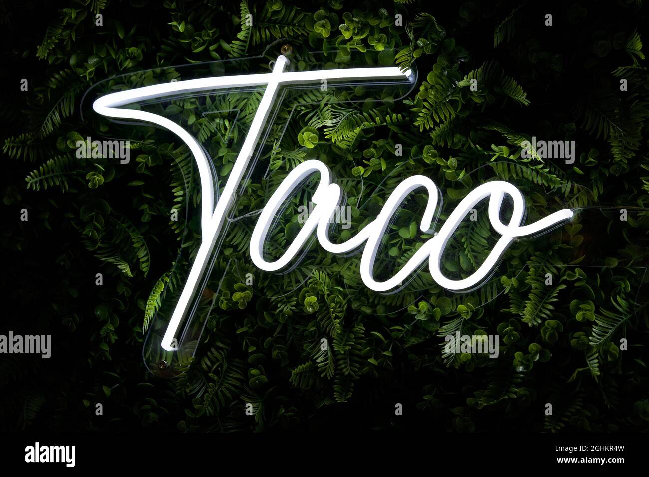 Neon light with Taco letterings against fern leaves Stock Photo