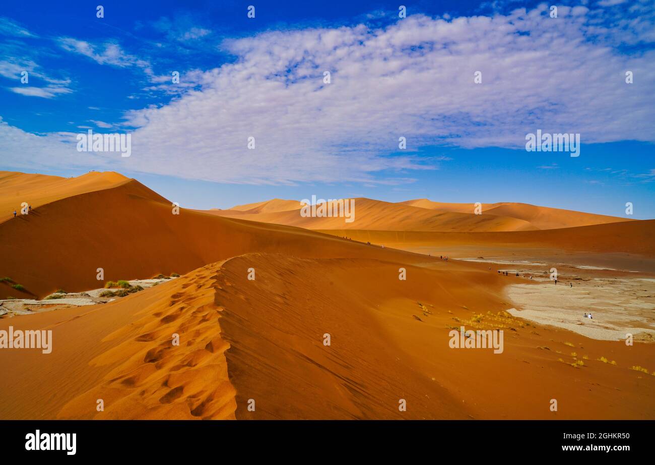 The red desert, dead trees, and tourists hiking in the sand dunes ...