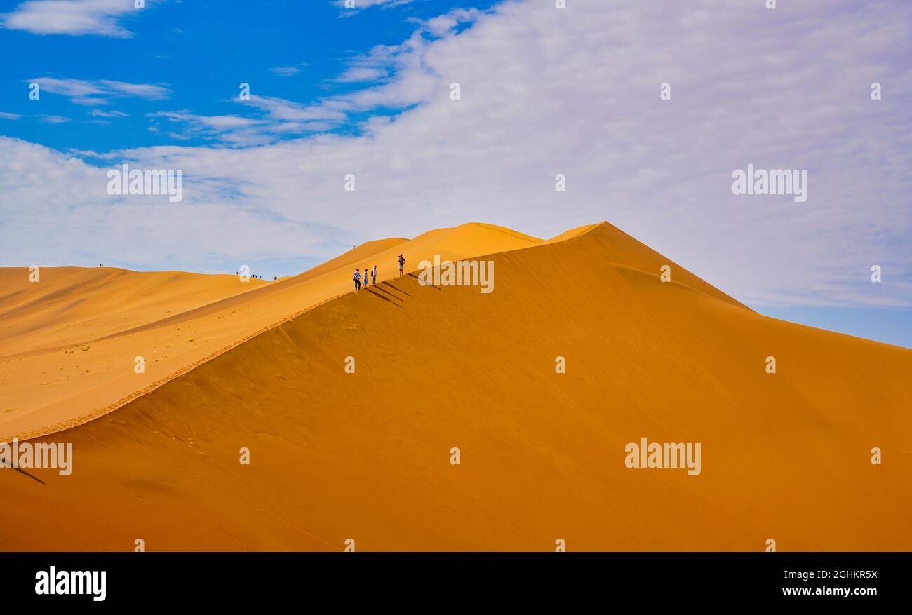 The red desert, dead trees, and tourists hiking in the sand dunes ...