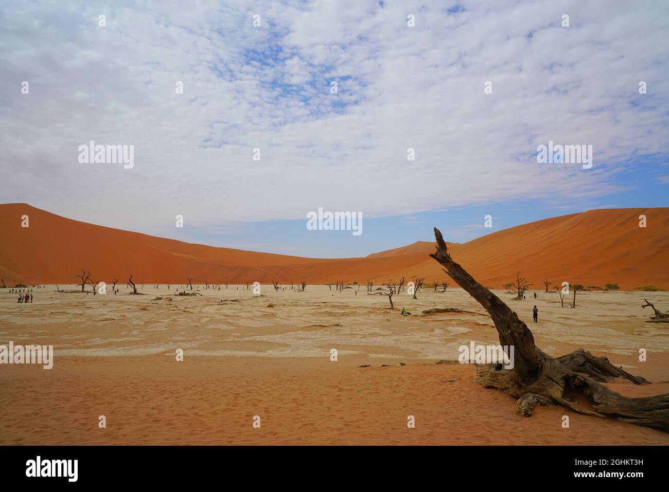 The red desert, dead trees, and tourists hiking in the sand dunes ...