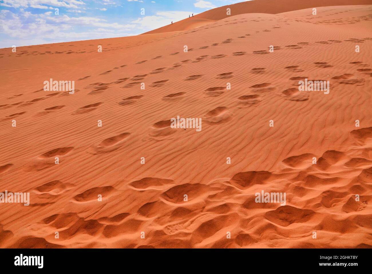 The red desert, dead trees, and tourists hiking in the sand dunes ...