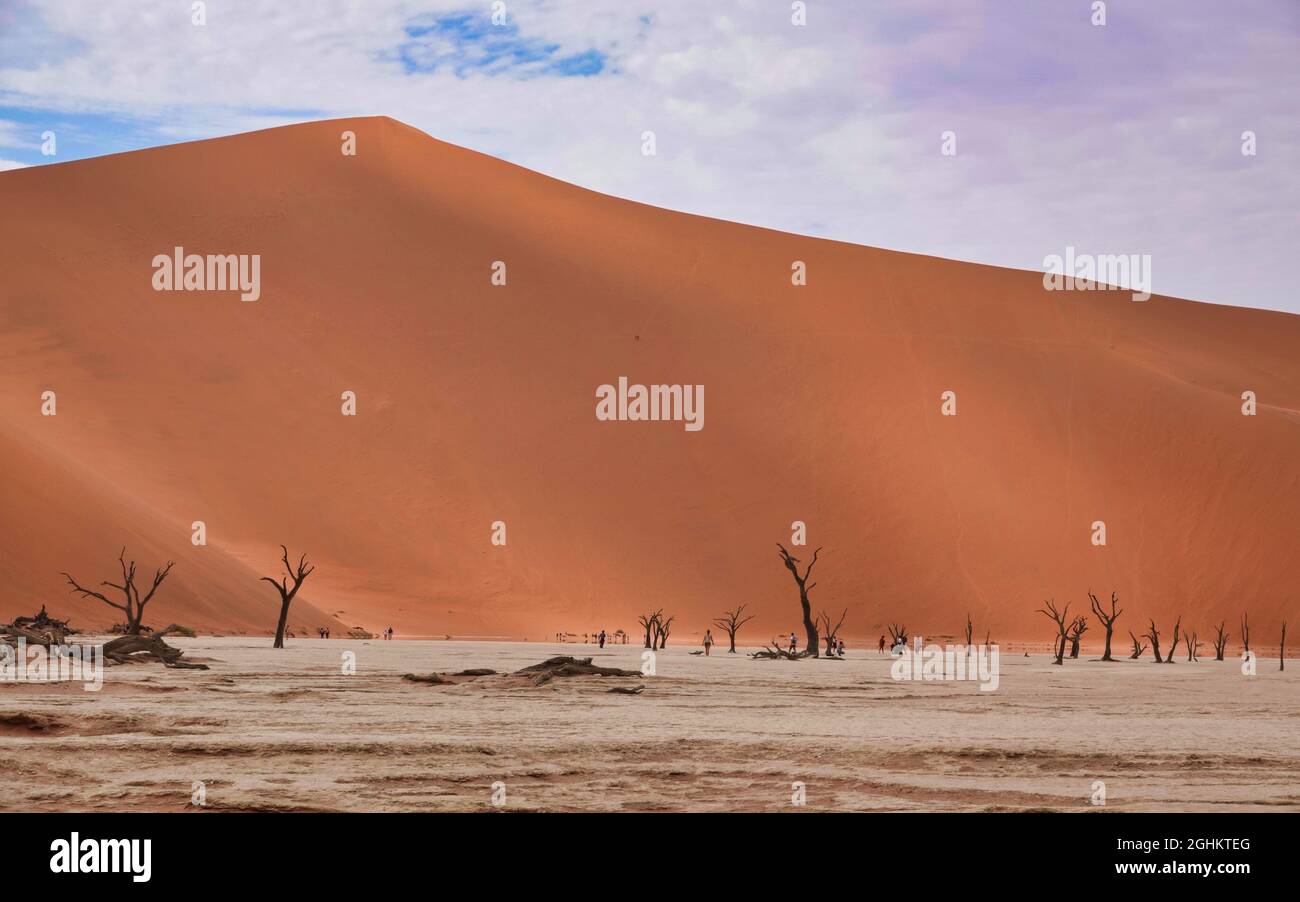 The red desert, dead trees, and tourists hiking in the sand dunes ...
