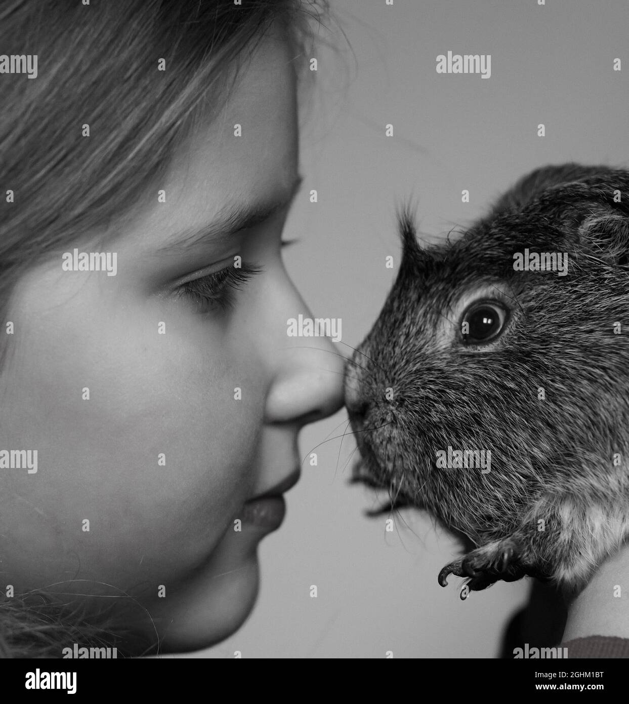 Little girl touching her nose guinea pig nose. Selective focus. Black and white. Stock Photo