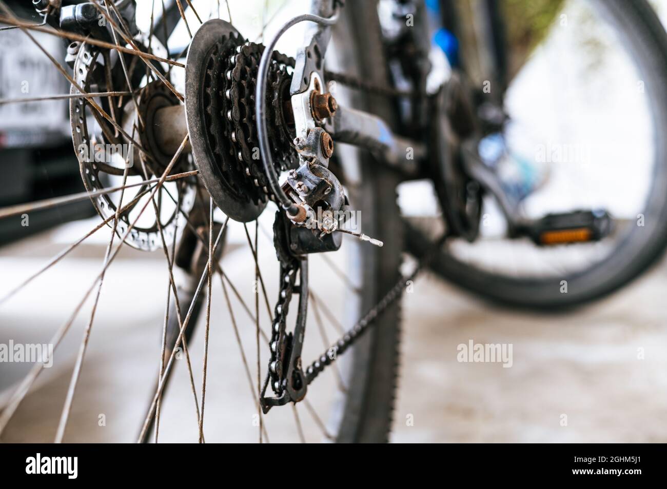 Parts of a bicycle, view of pinion and drive system, rear disc brake ...