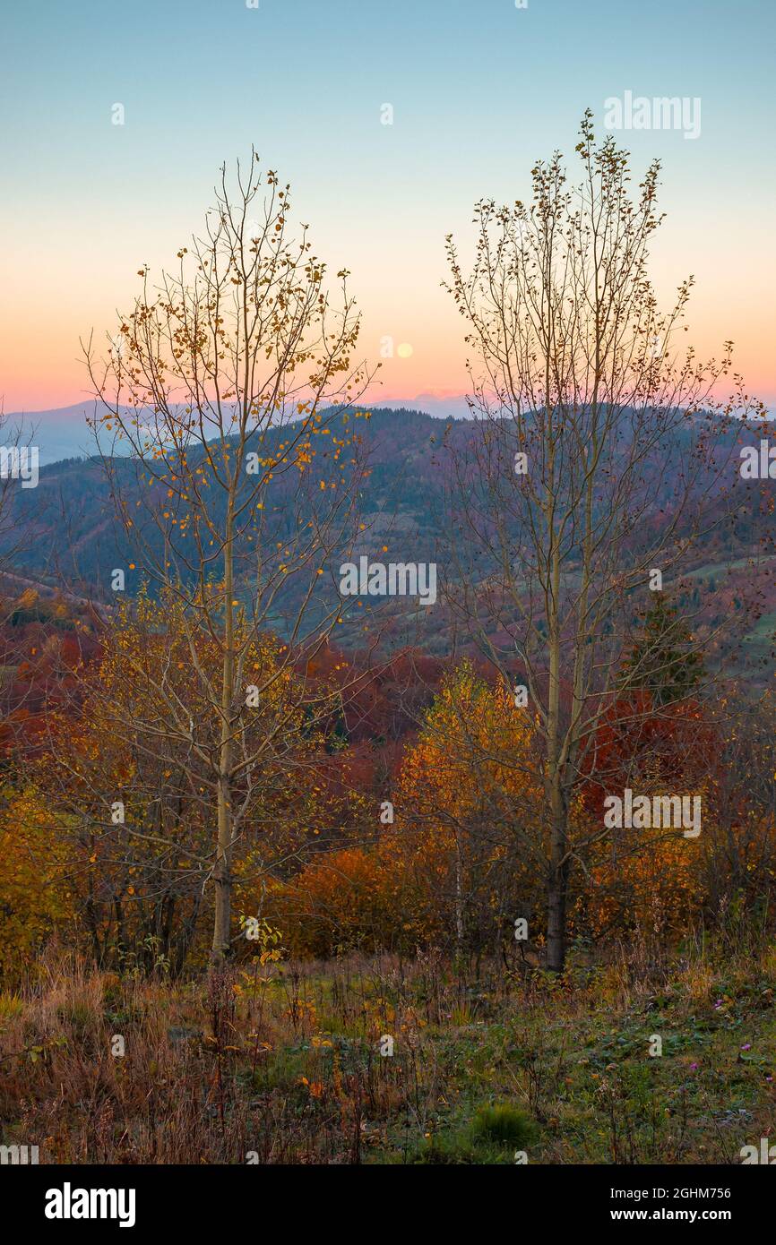 moon rise above snow covered ridge. wonderful autumn landscape of carpathian mountains in late autumn. nature scenery at twilight Stock Photo